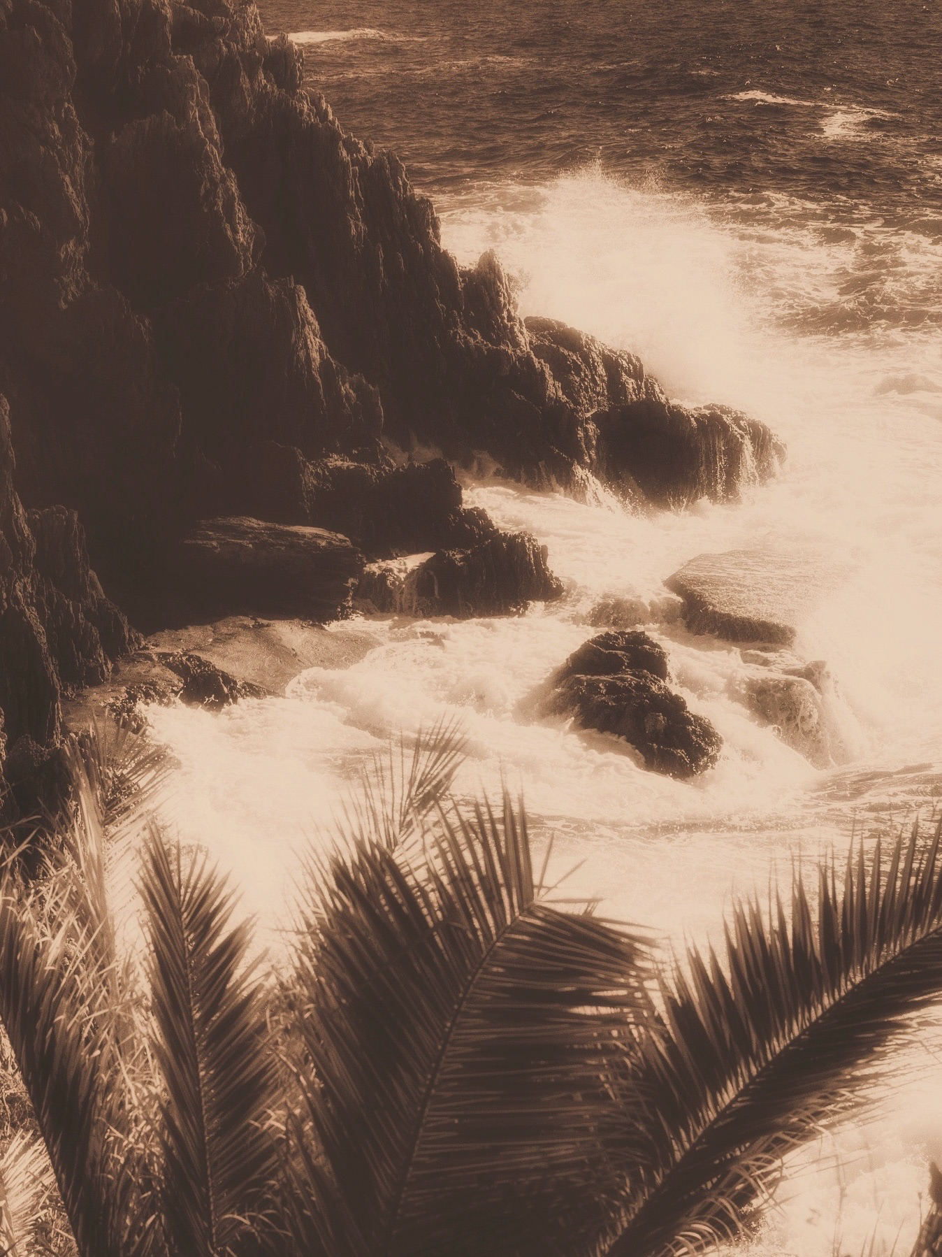 "Savage Riviera"