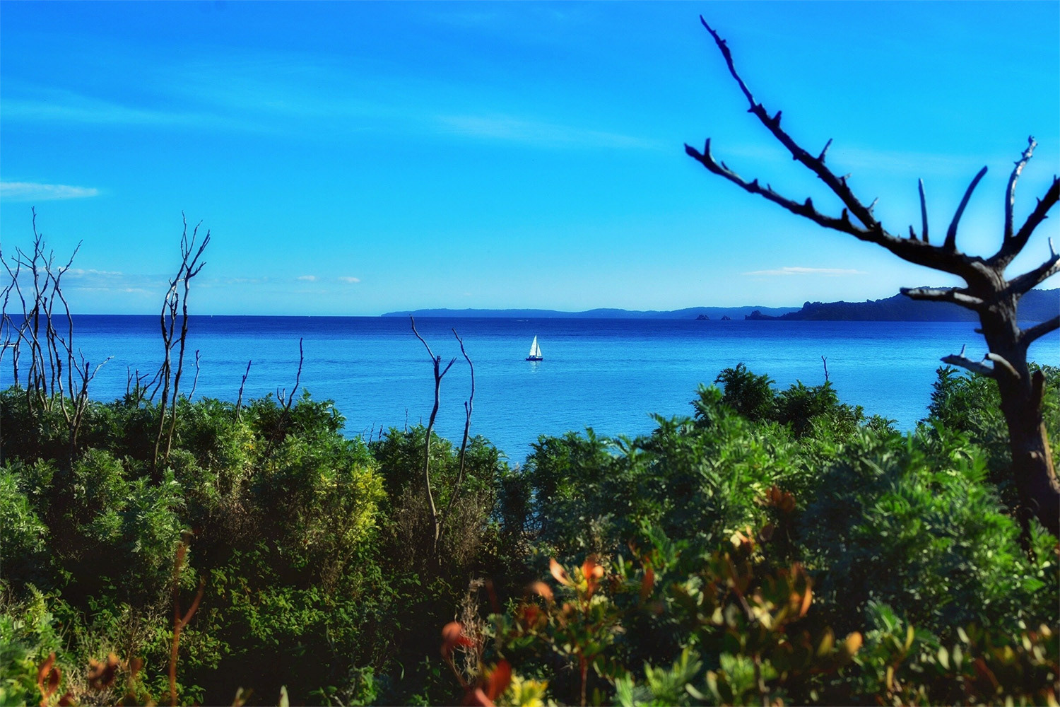 "Solitary Voyage"