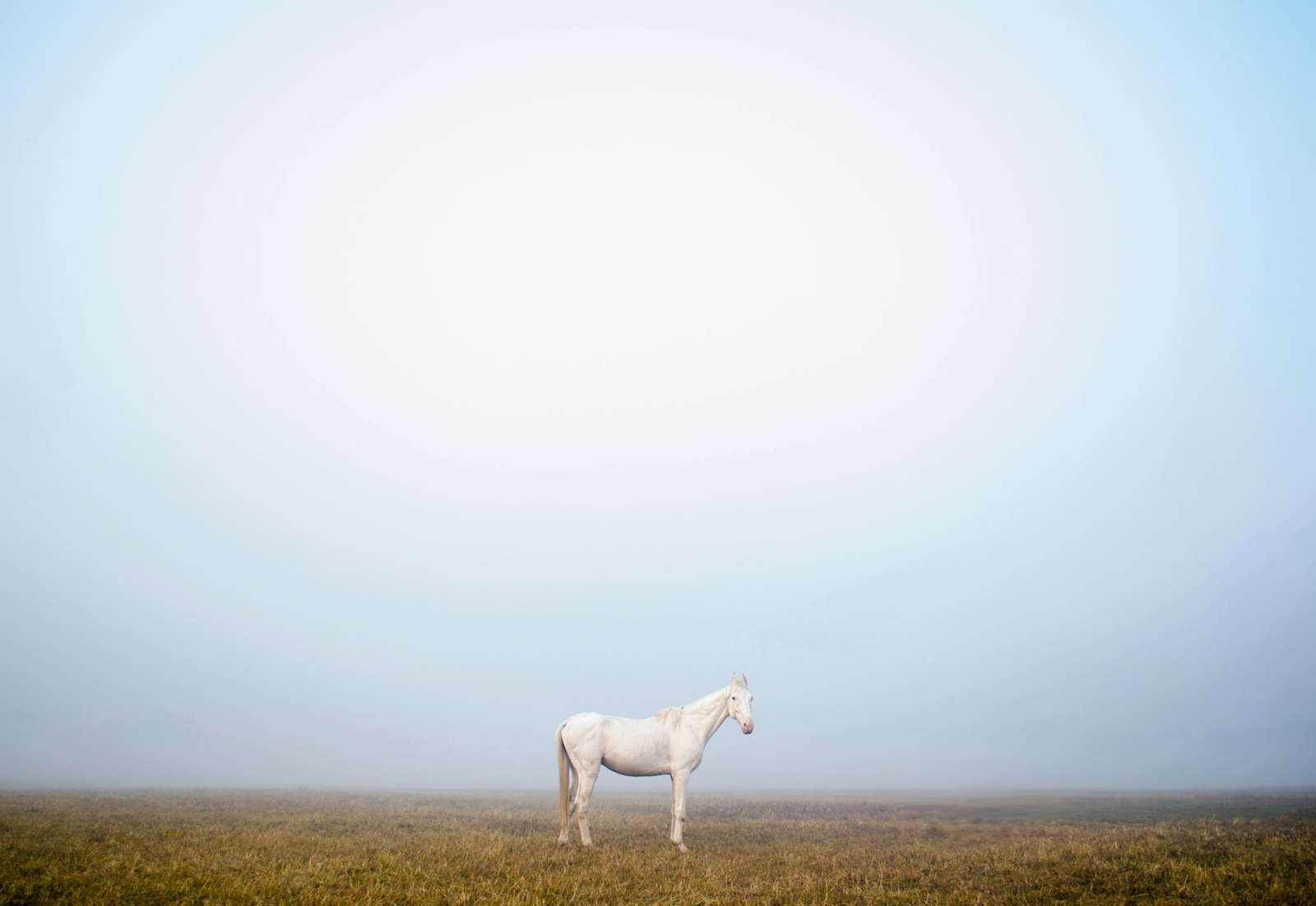 Serene, 2019