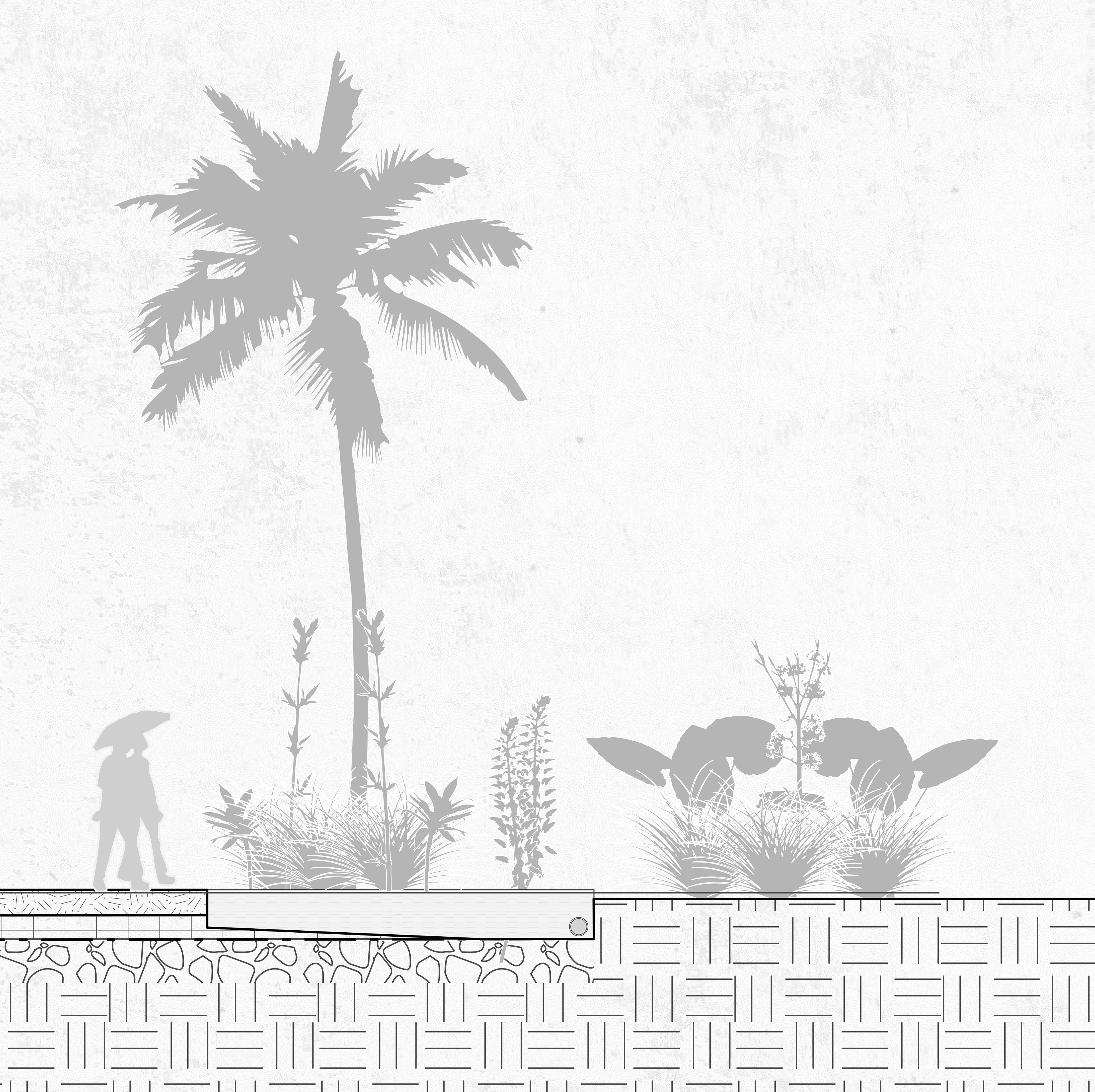 Water-Vegetation Detail