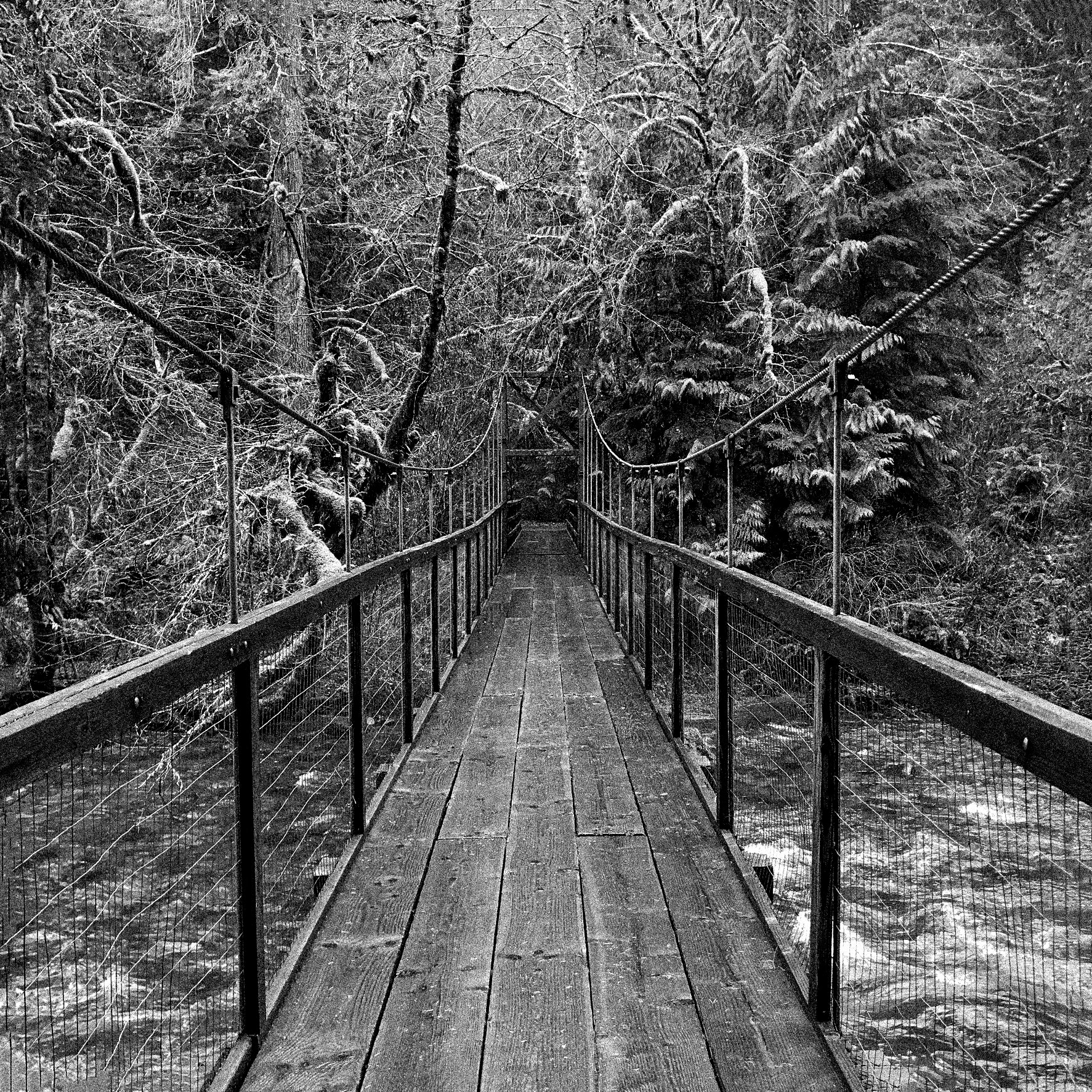 Eagle Bridge