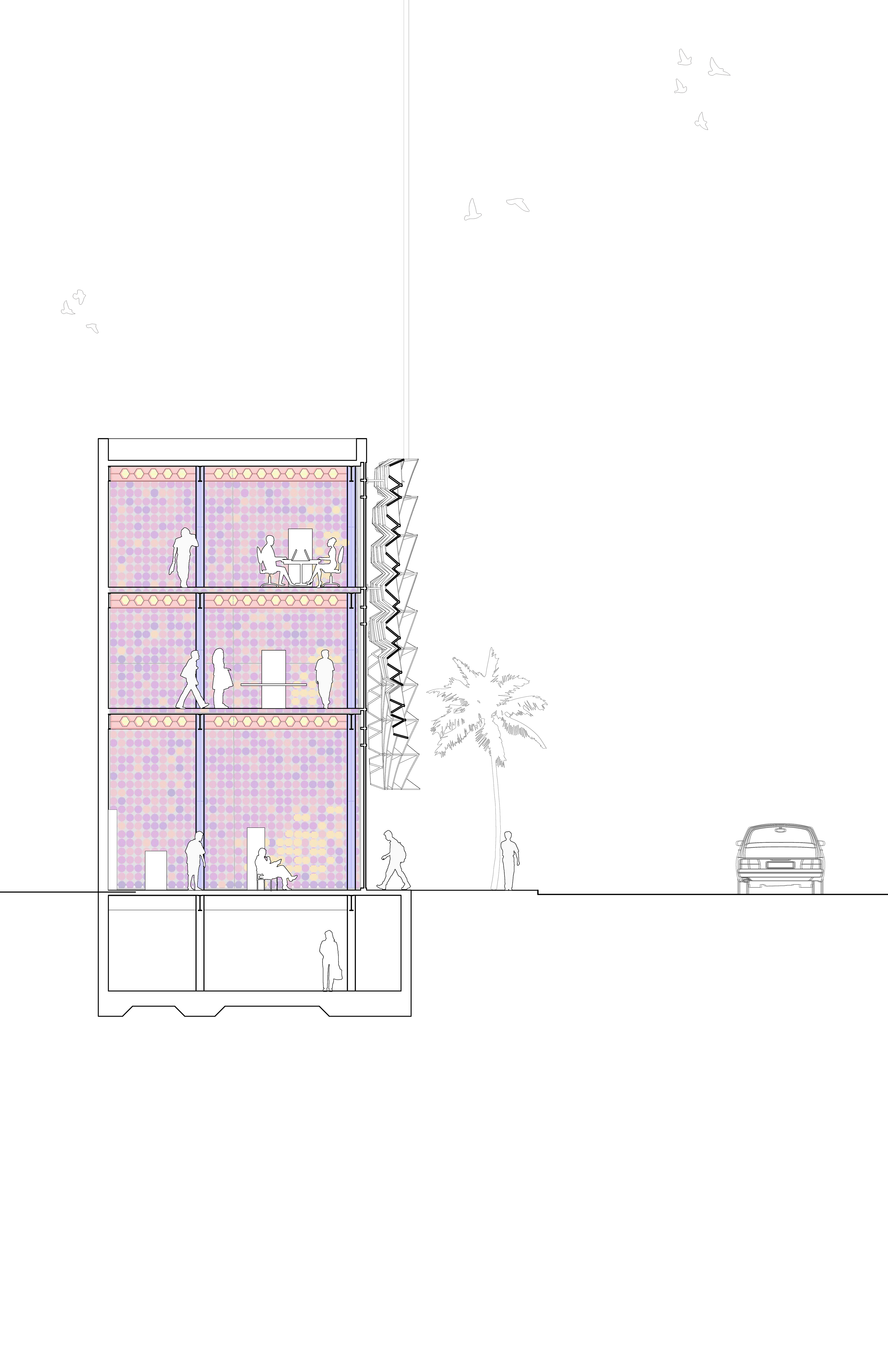 Section 01, Illumination