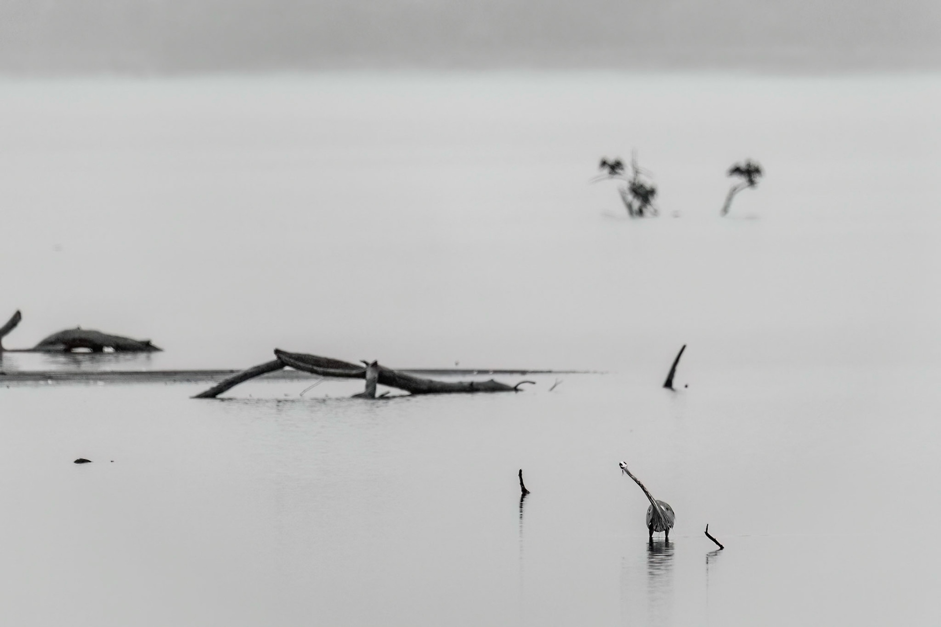 I spy with my little eyes...!