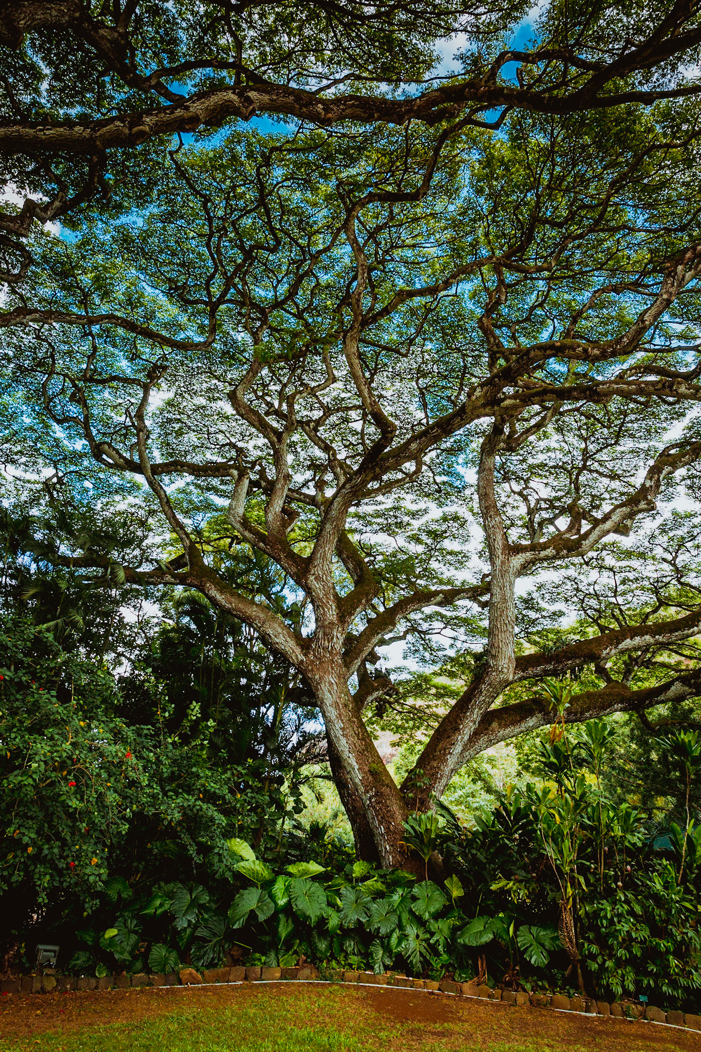 Oahu, Hawaii