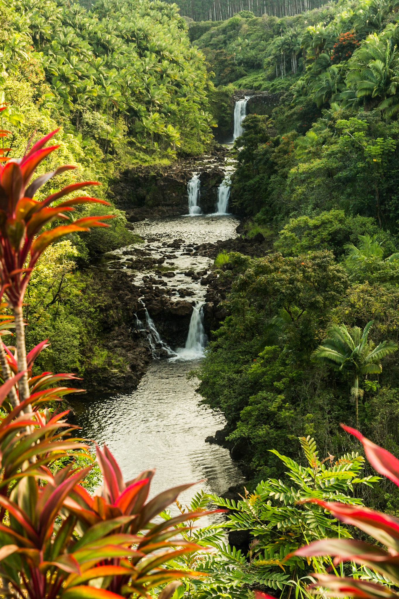 Umauma Falls, Hawaii