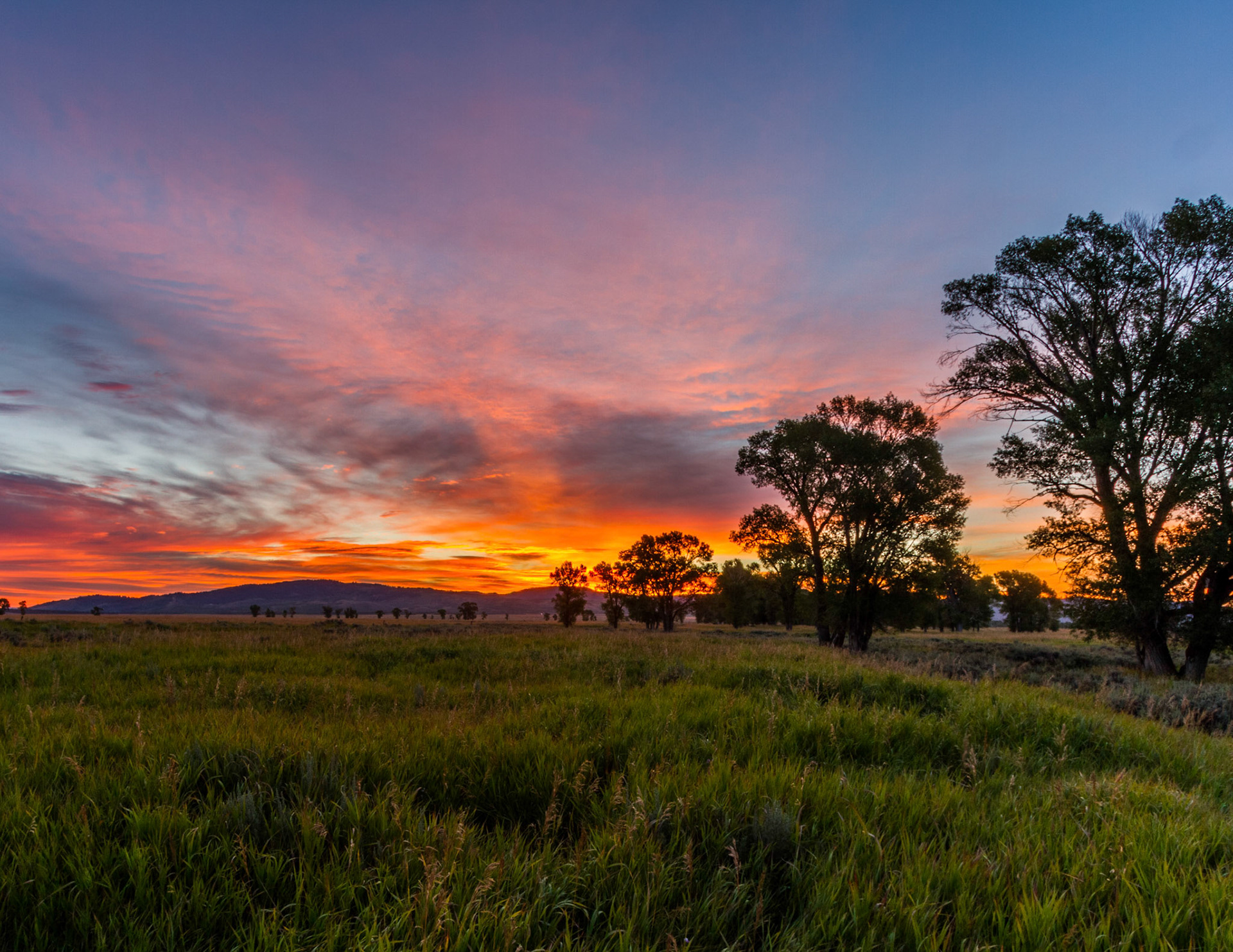 Sunrise at Mormon Row, Wyoming