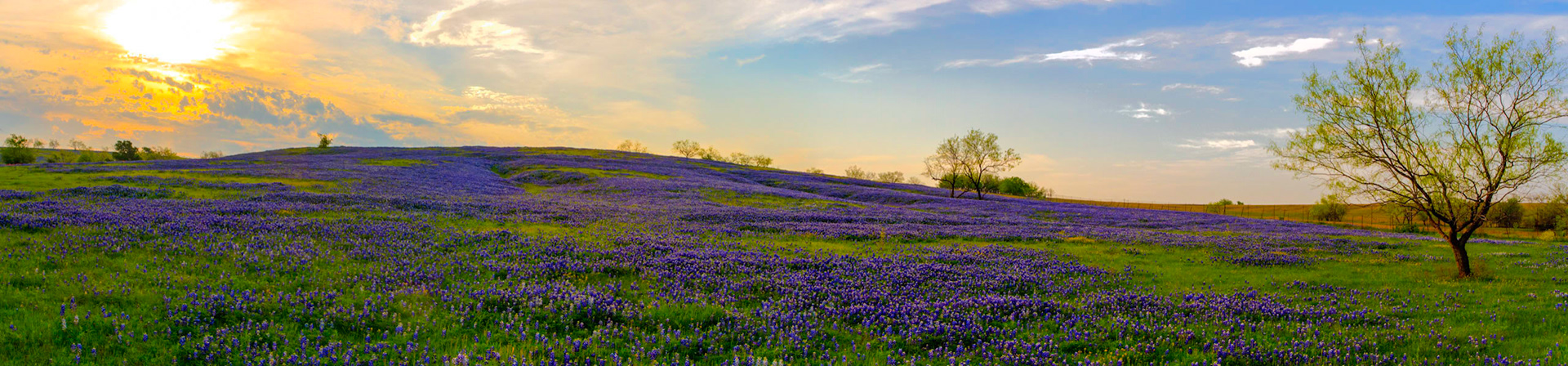Ennis, Texas