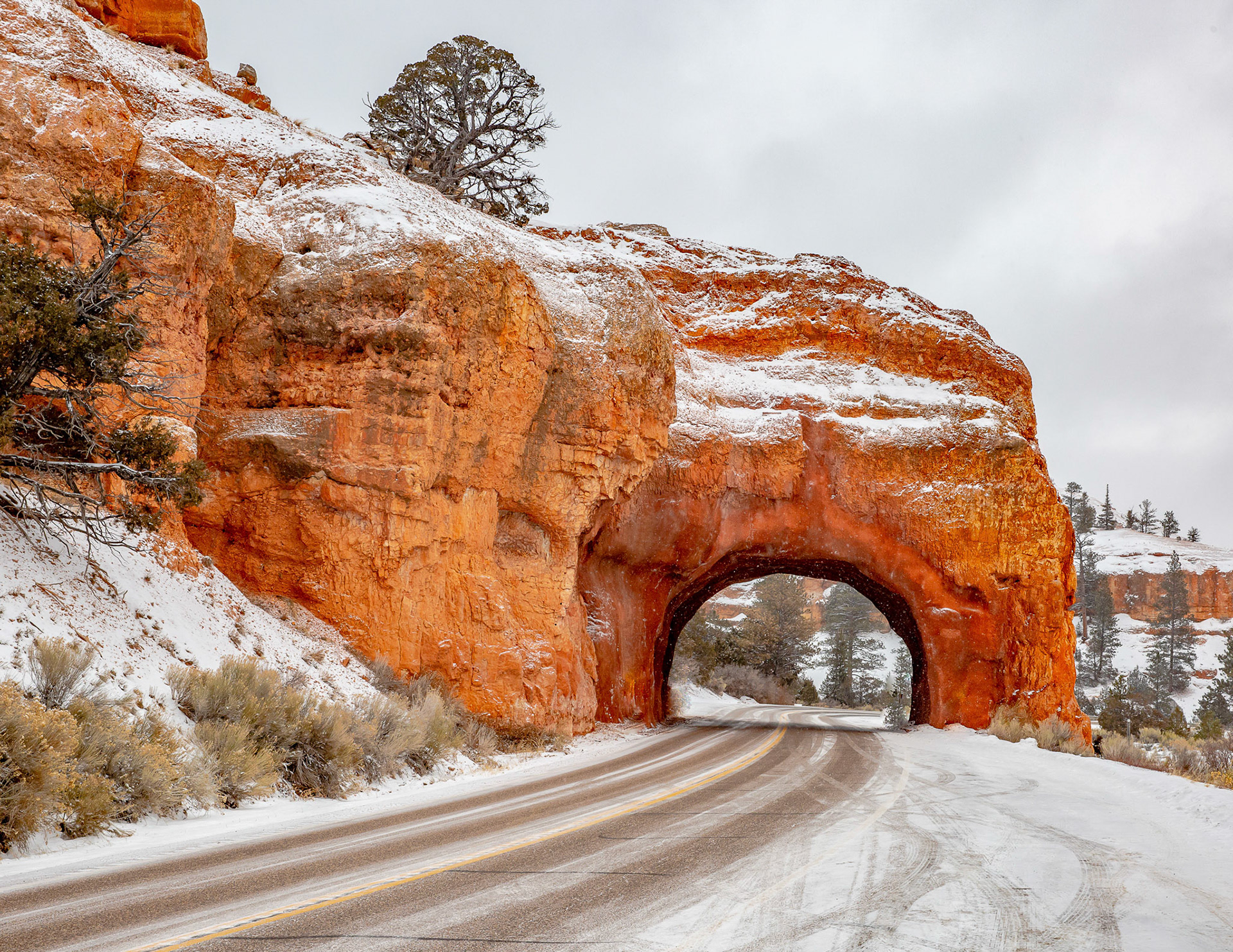 Red Rock Canyon Arch, UT
