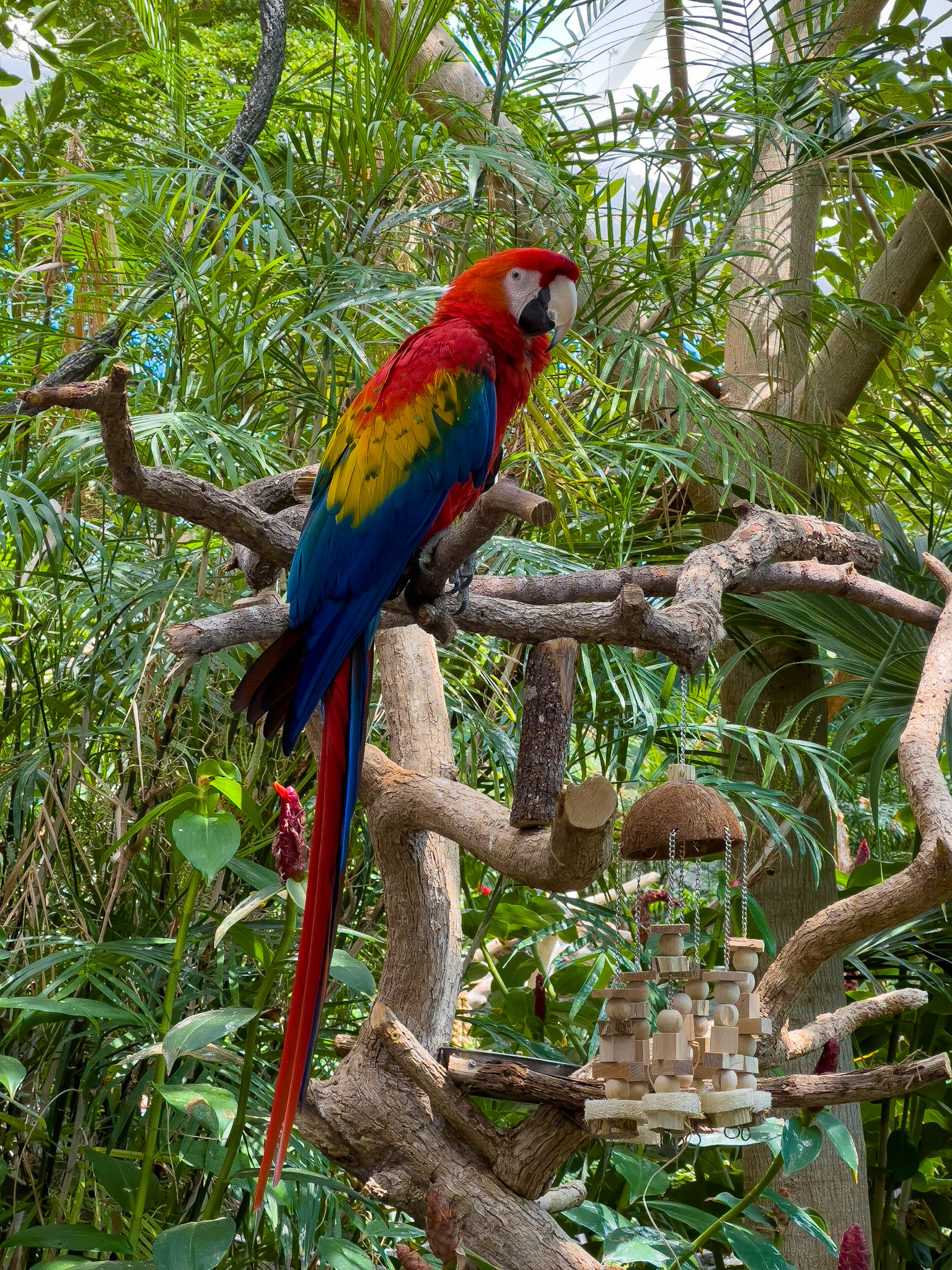Galveston Aquarium, Texas