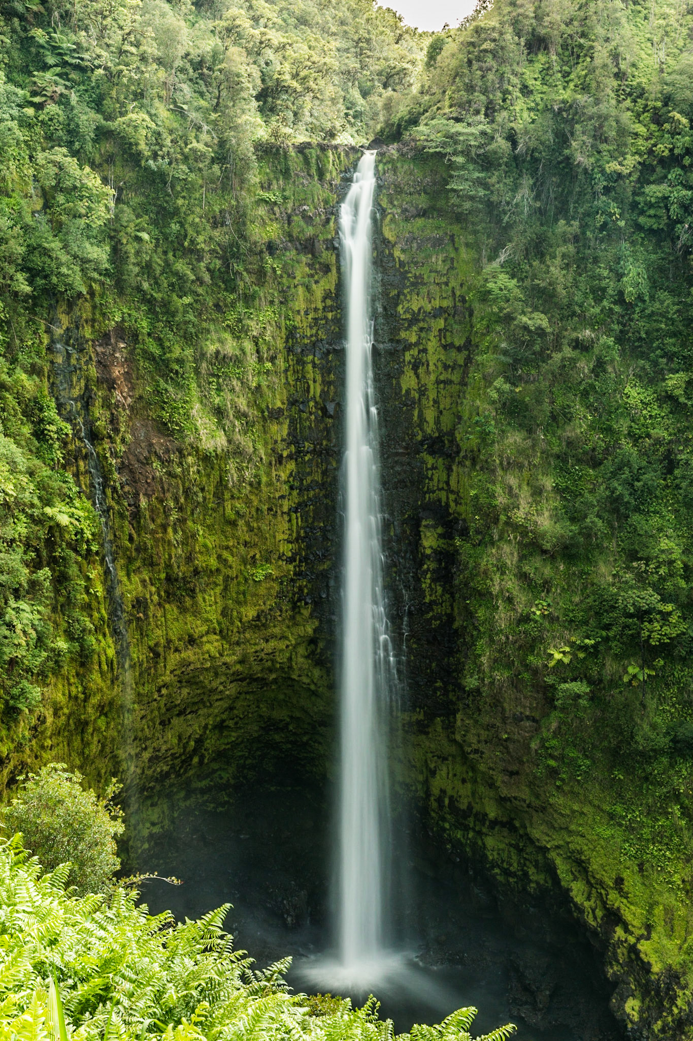 ʻAkaka Falls, Hawaii