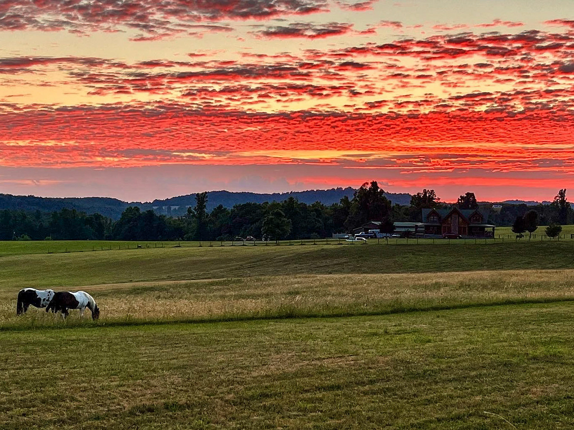 Pine Spur Overlook, Blue Ridge Parkway, Virginia