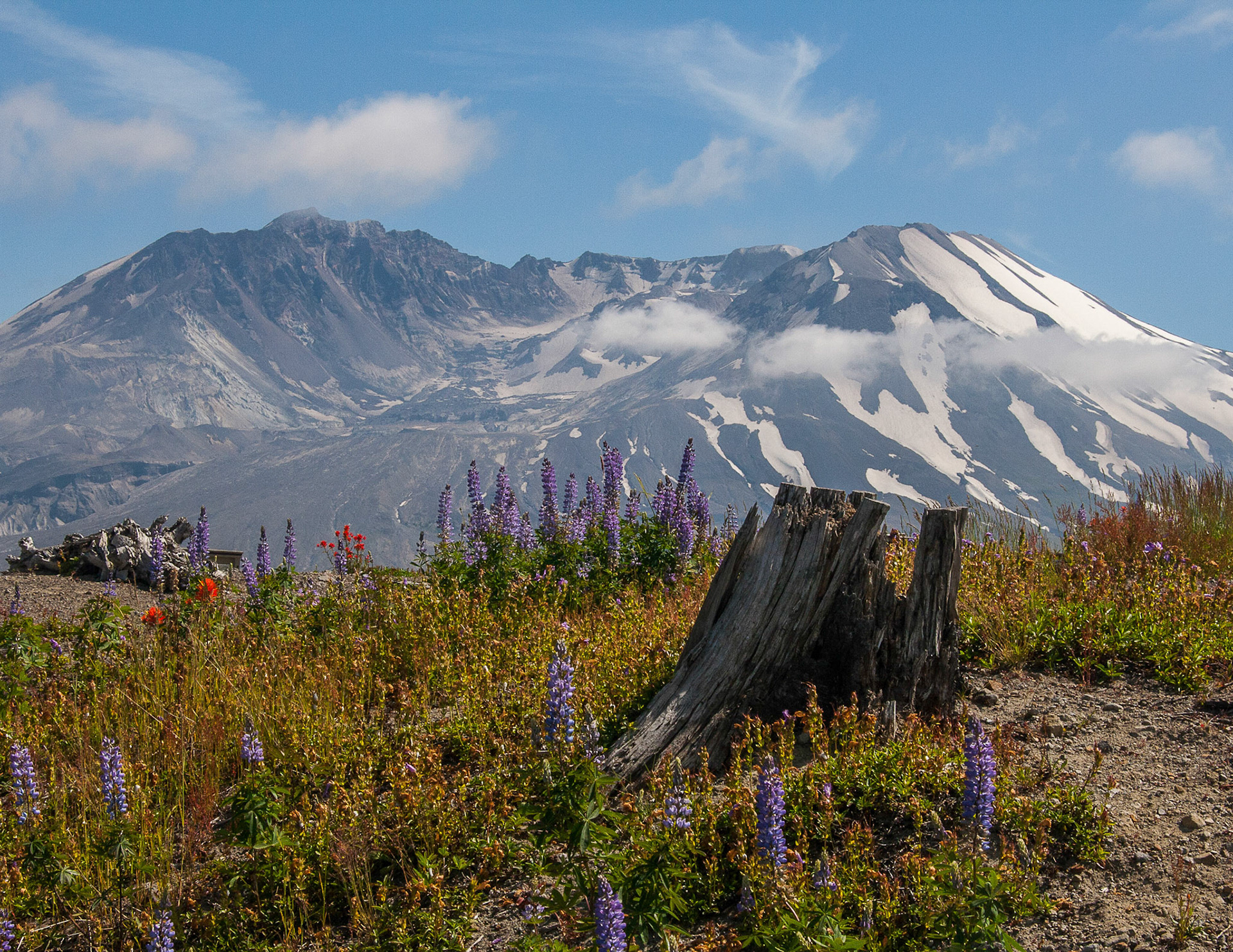Mount Rainier, Tacoma, Washington
