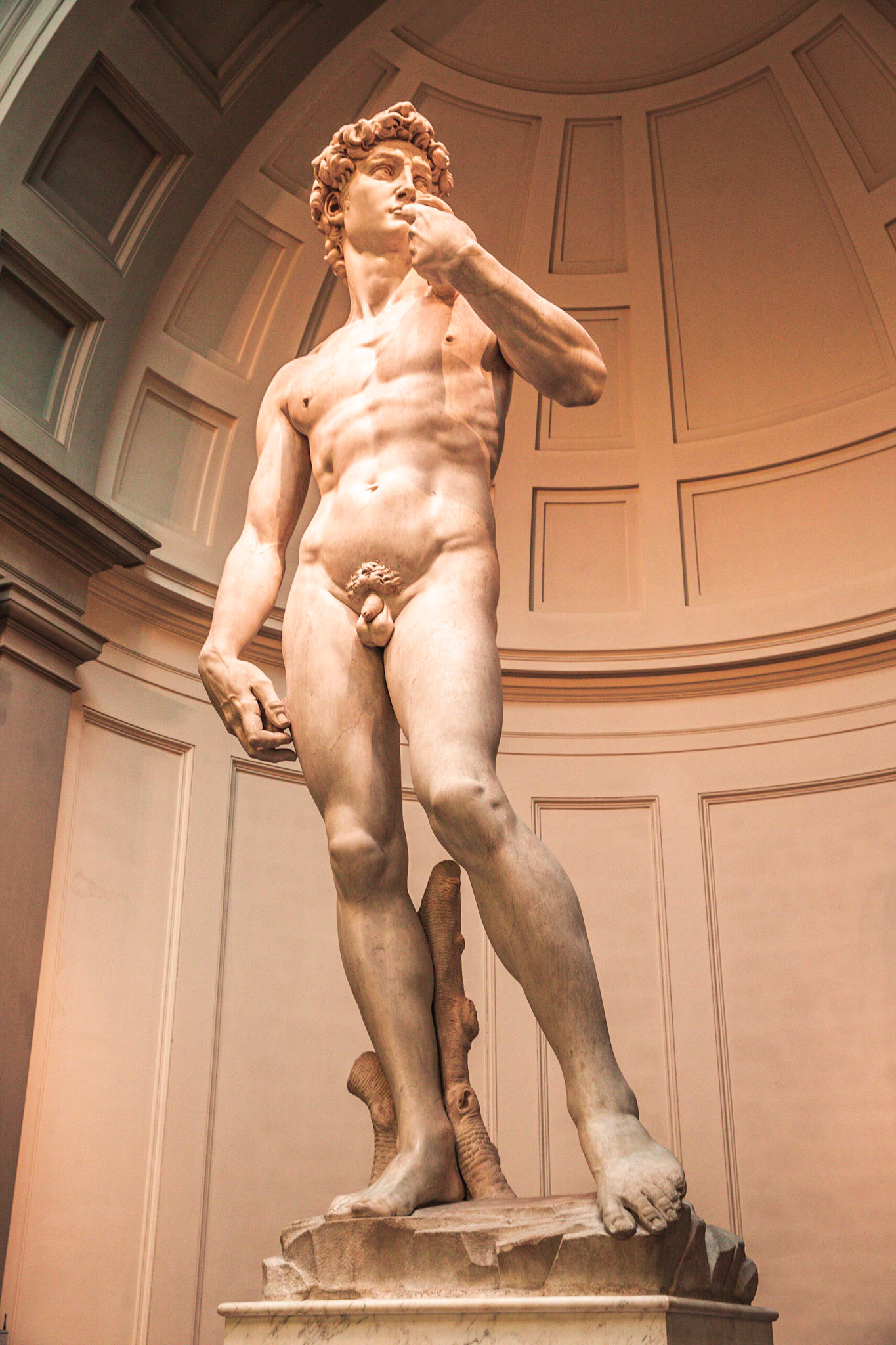 David of Michelangelo, Florence, Tuscany