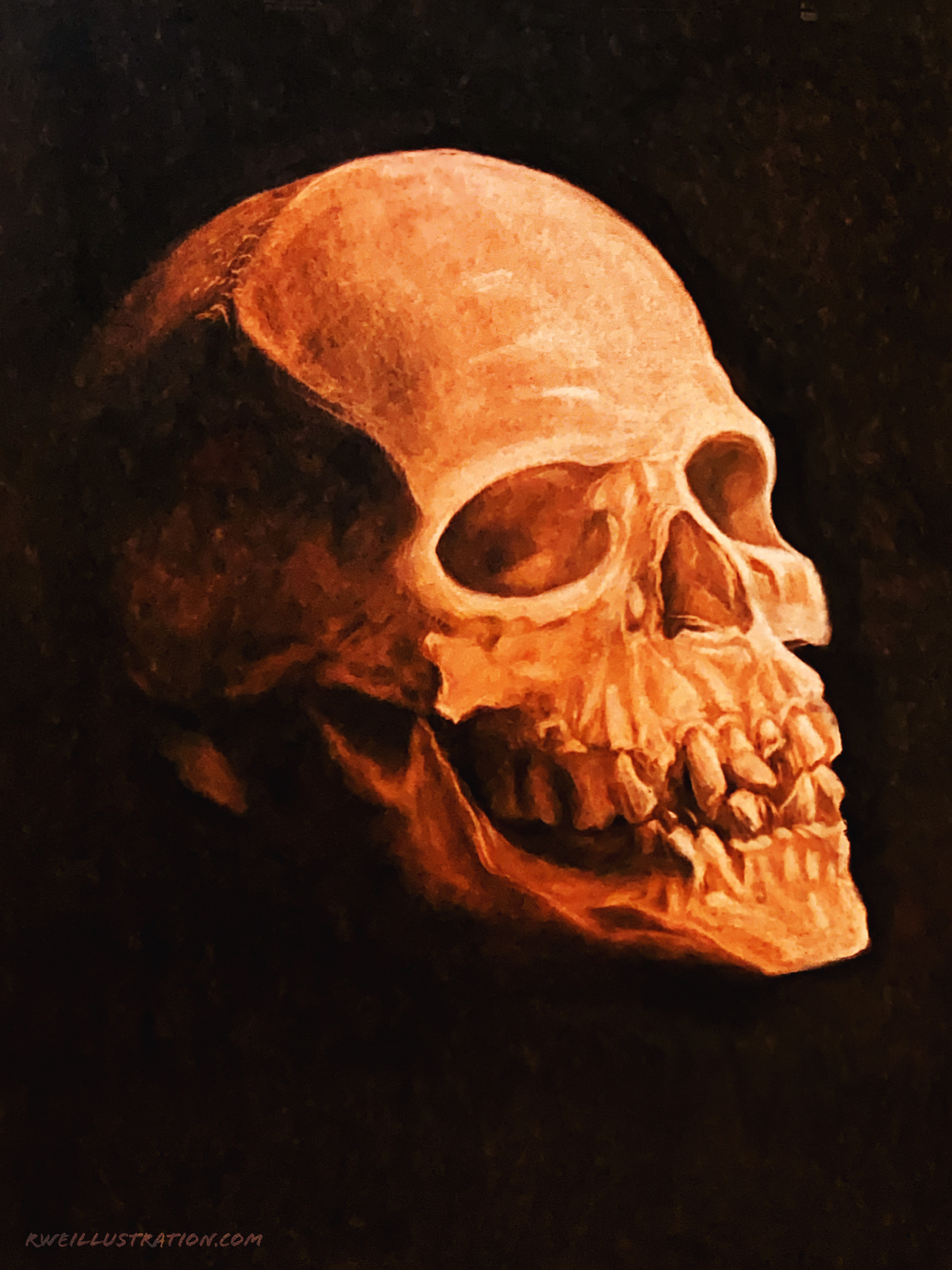 Subtractive skull study, conte crayon on paper