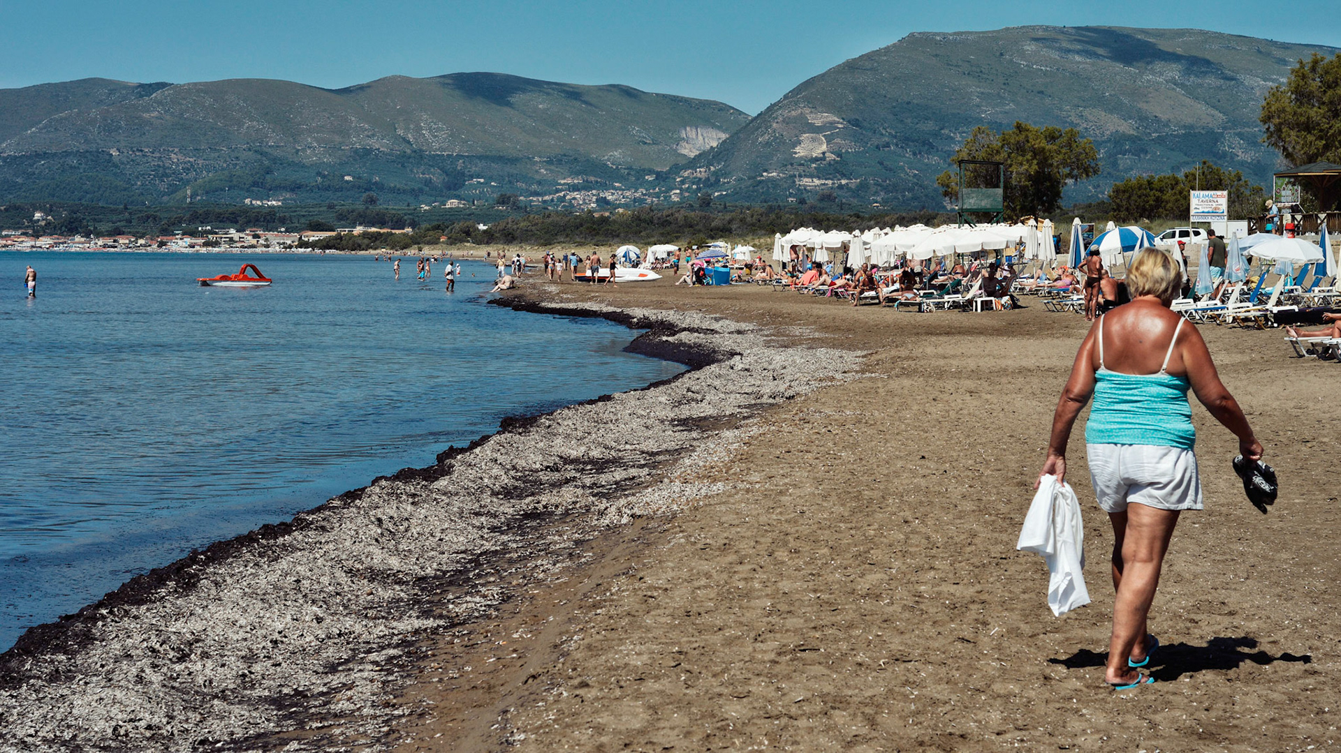 Zante, 2016