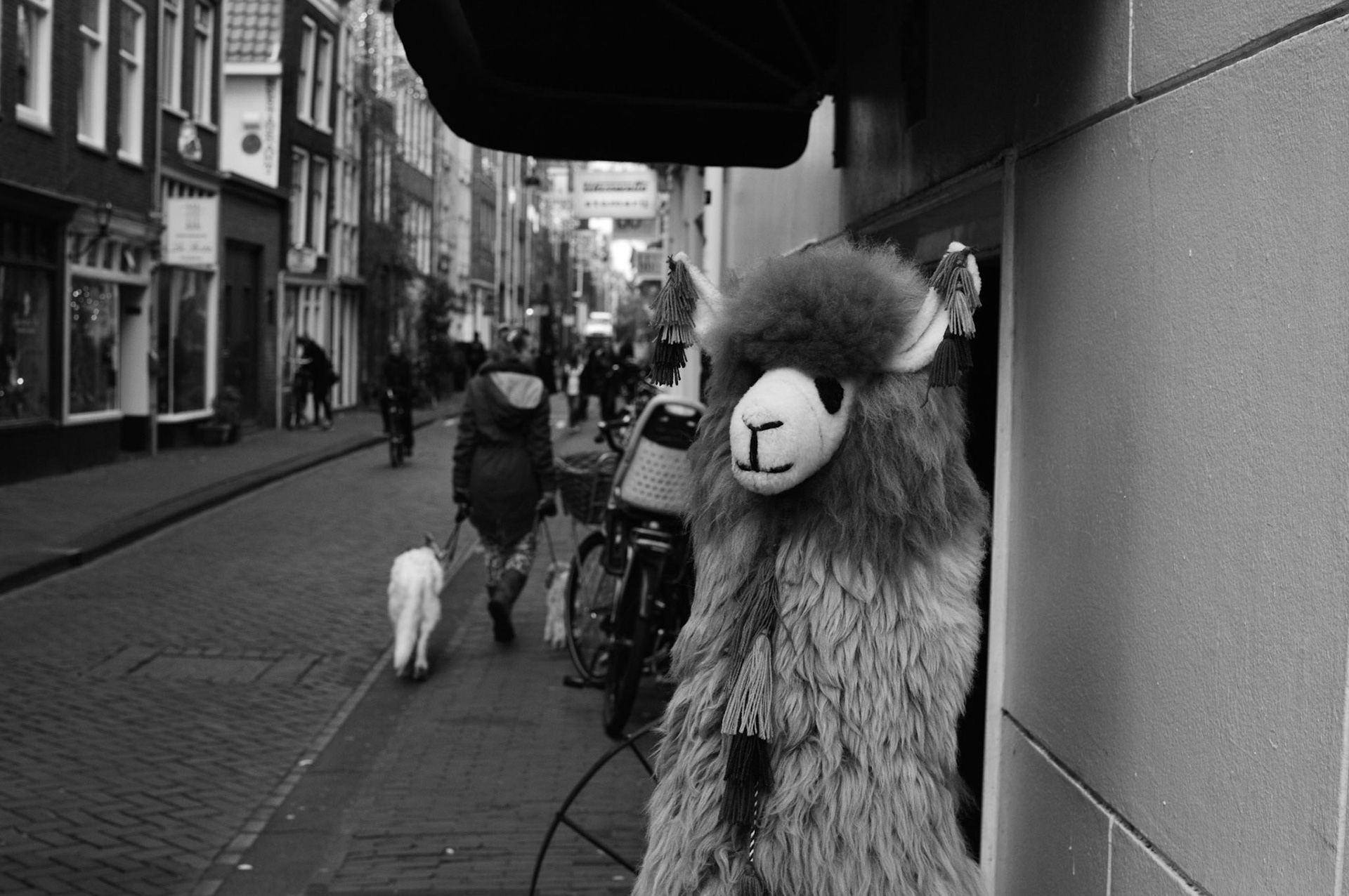 Amsterdam, 2016