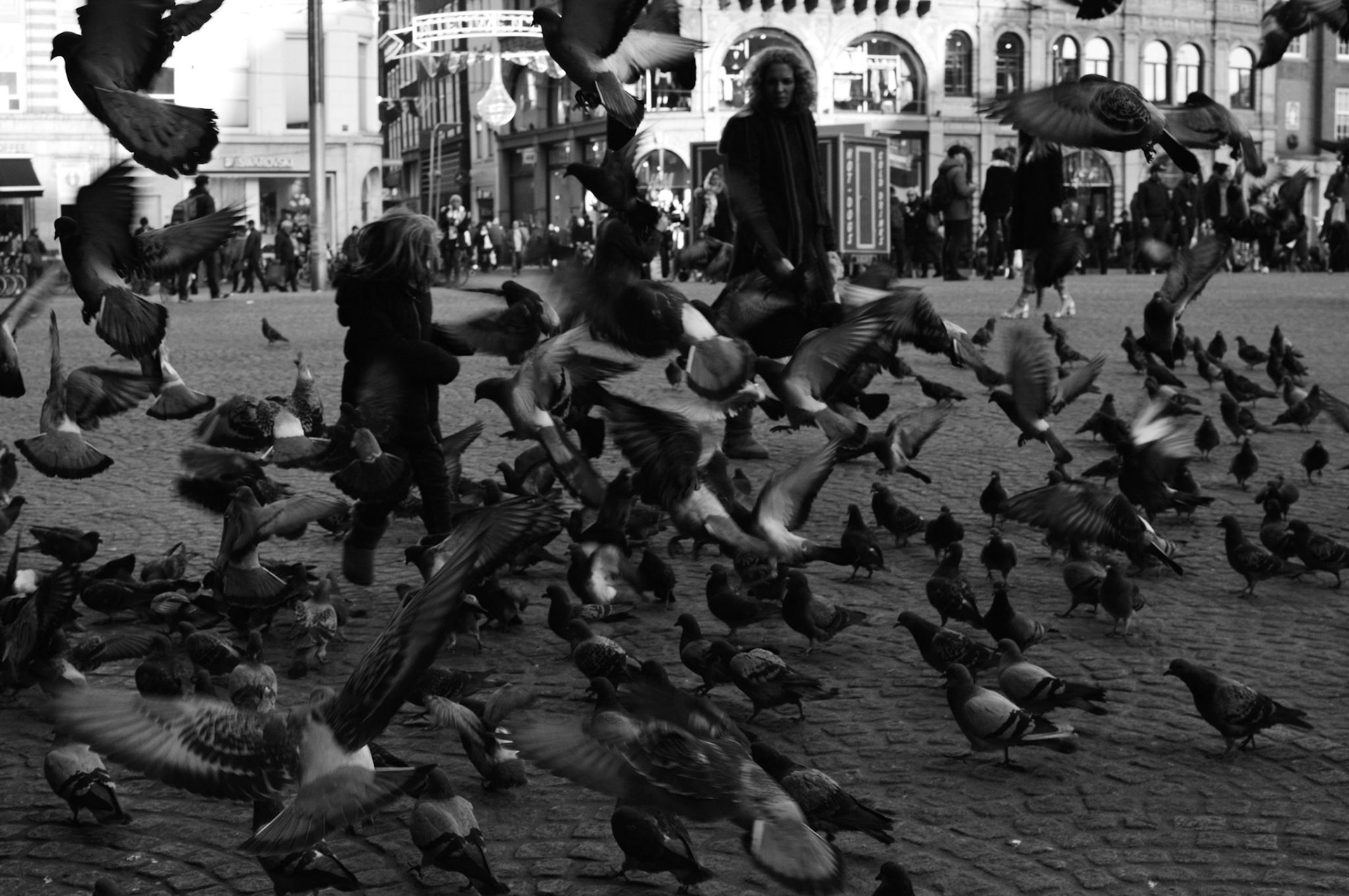 Amsterdam, 2016