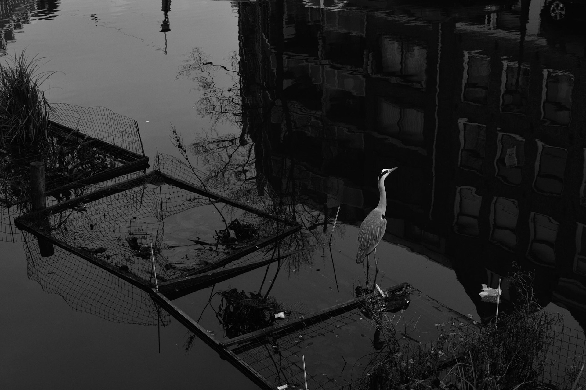 Amsterdam, 2016