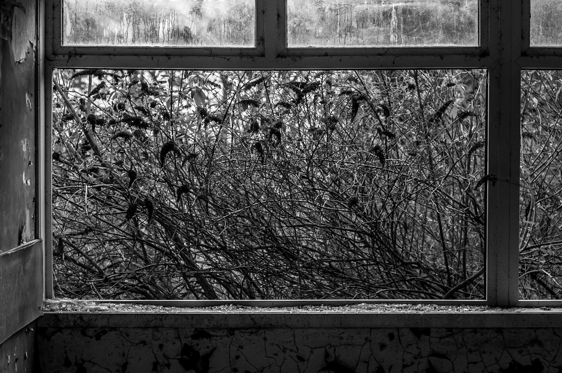 Urbex: Strathmartine Hospital