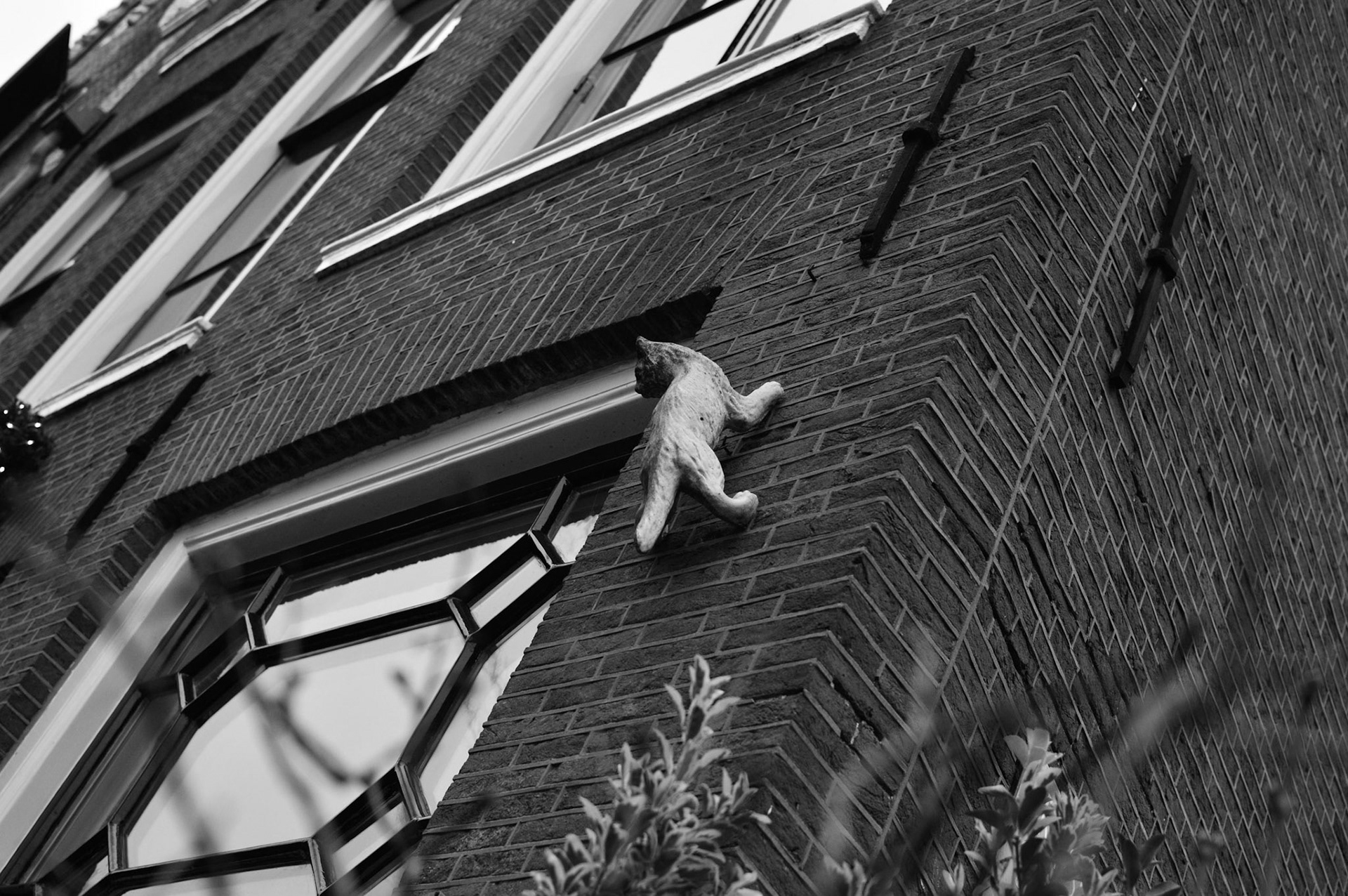 Amsterdam, 2016