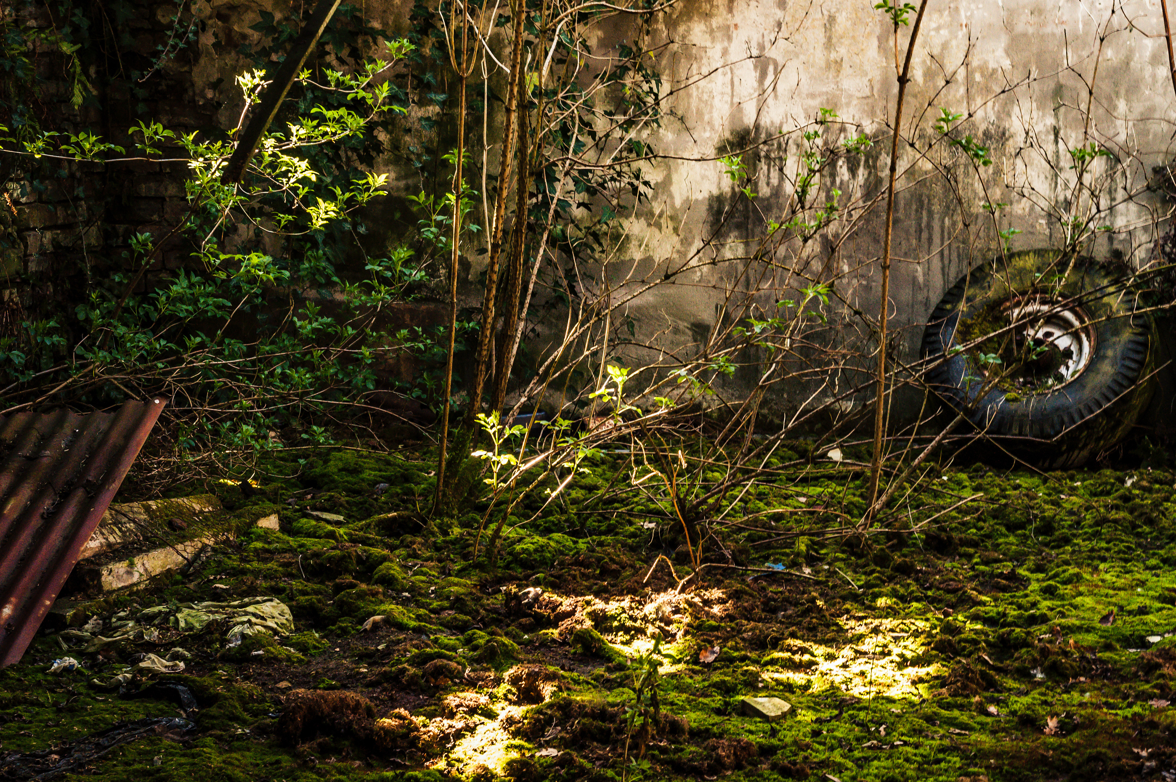 Urbex: Grange Farm