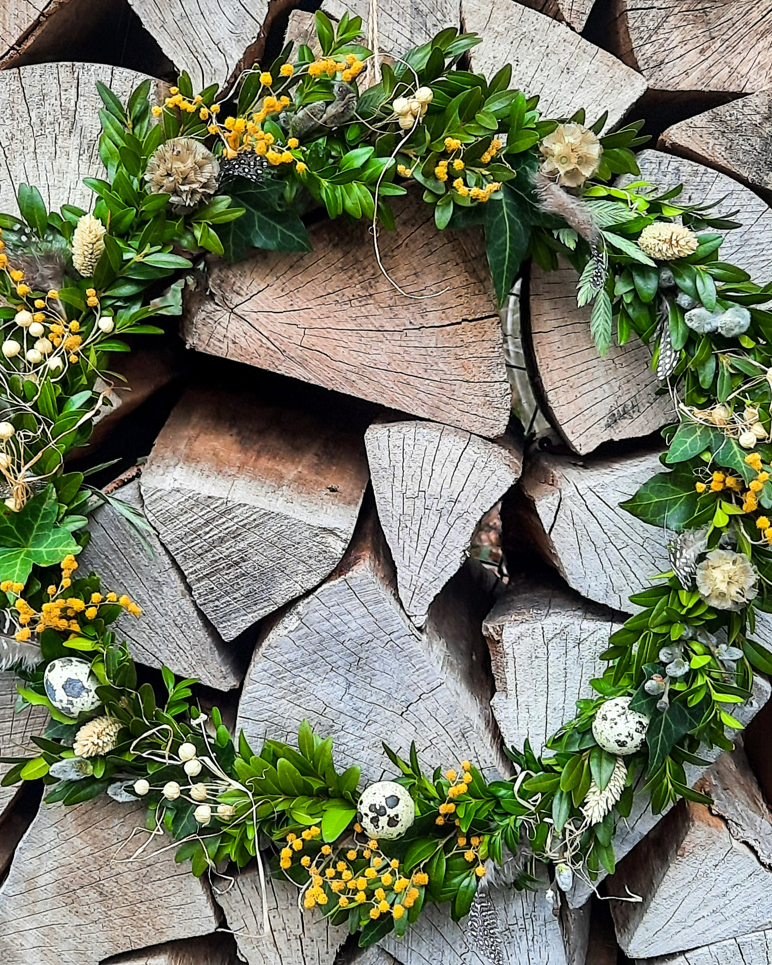 Frühlings-Kranz mit Wachteleiern & Federn, ca. Ø 36cm, Metallring