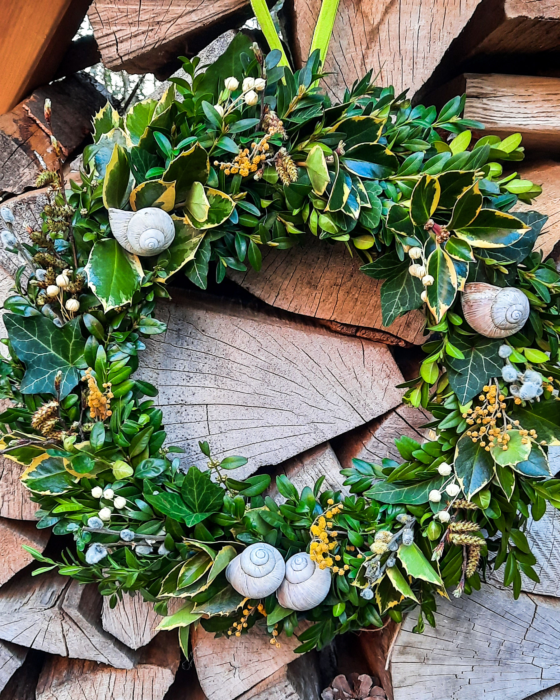 Frühlings-Kranz mit Schneckenhäuschen & Weidenkätzchen, ca. Ø 40cm, Strohring