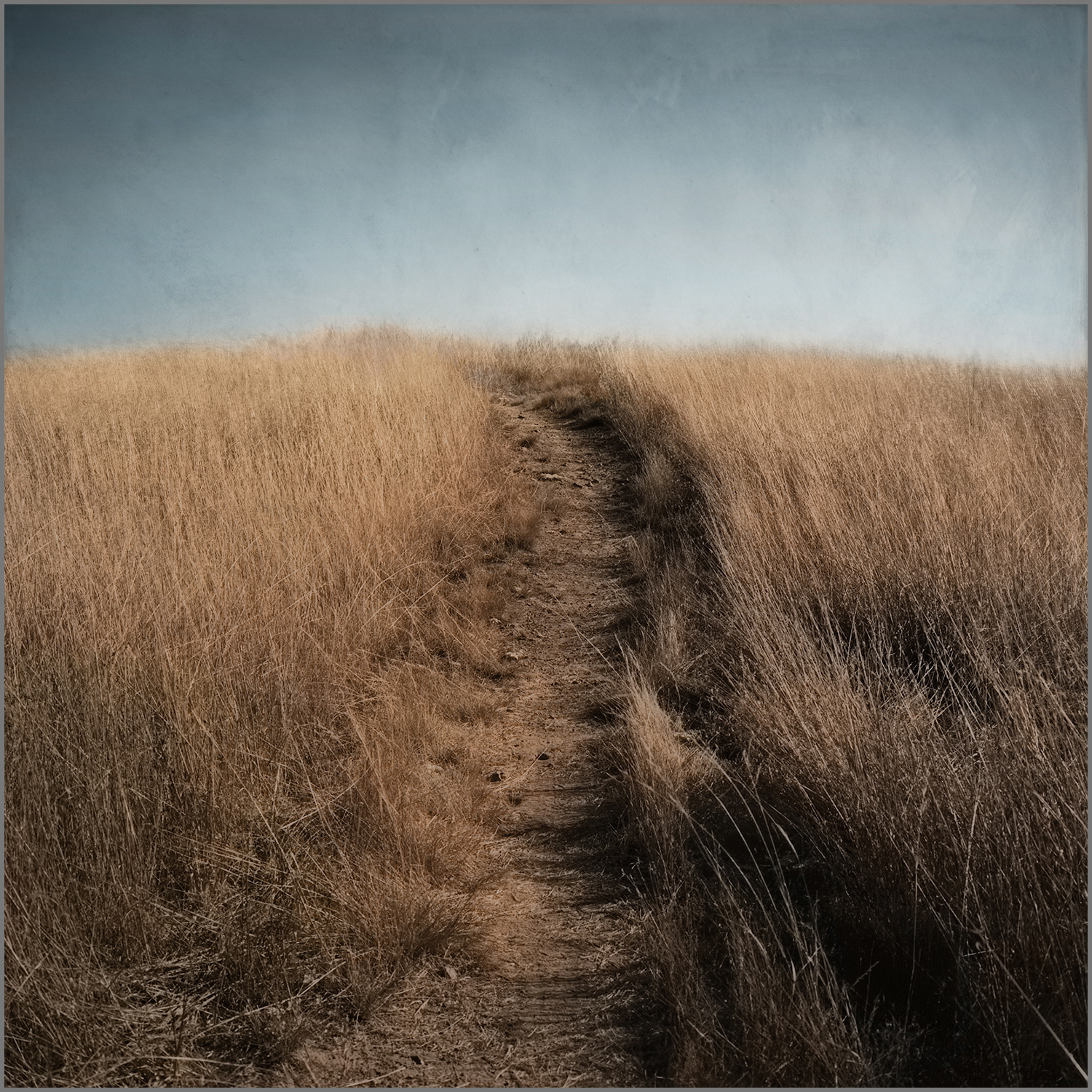 2006 - 02     19" x 19"      Edition of 25