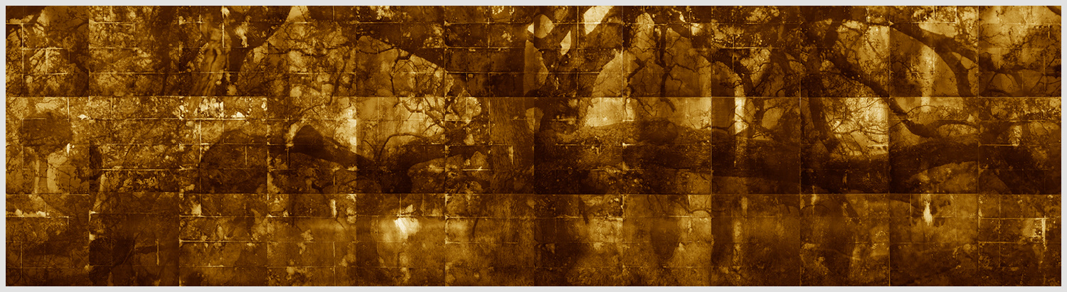Burning Bush 252" x 69" (Original Thirty-Six Panels) Acrylic and Pigment Ink on Panel