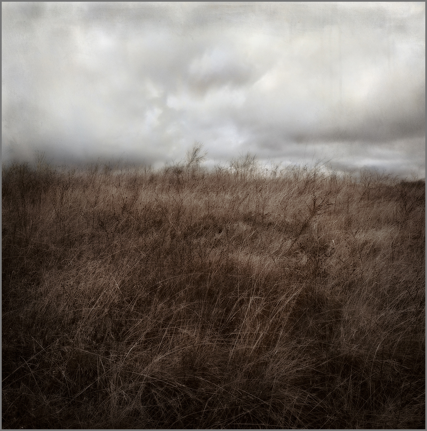 2006 - 01     19" x 19"      Edition of 25