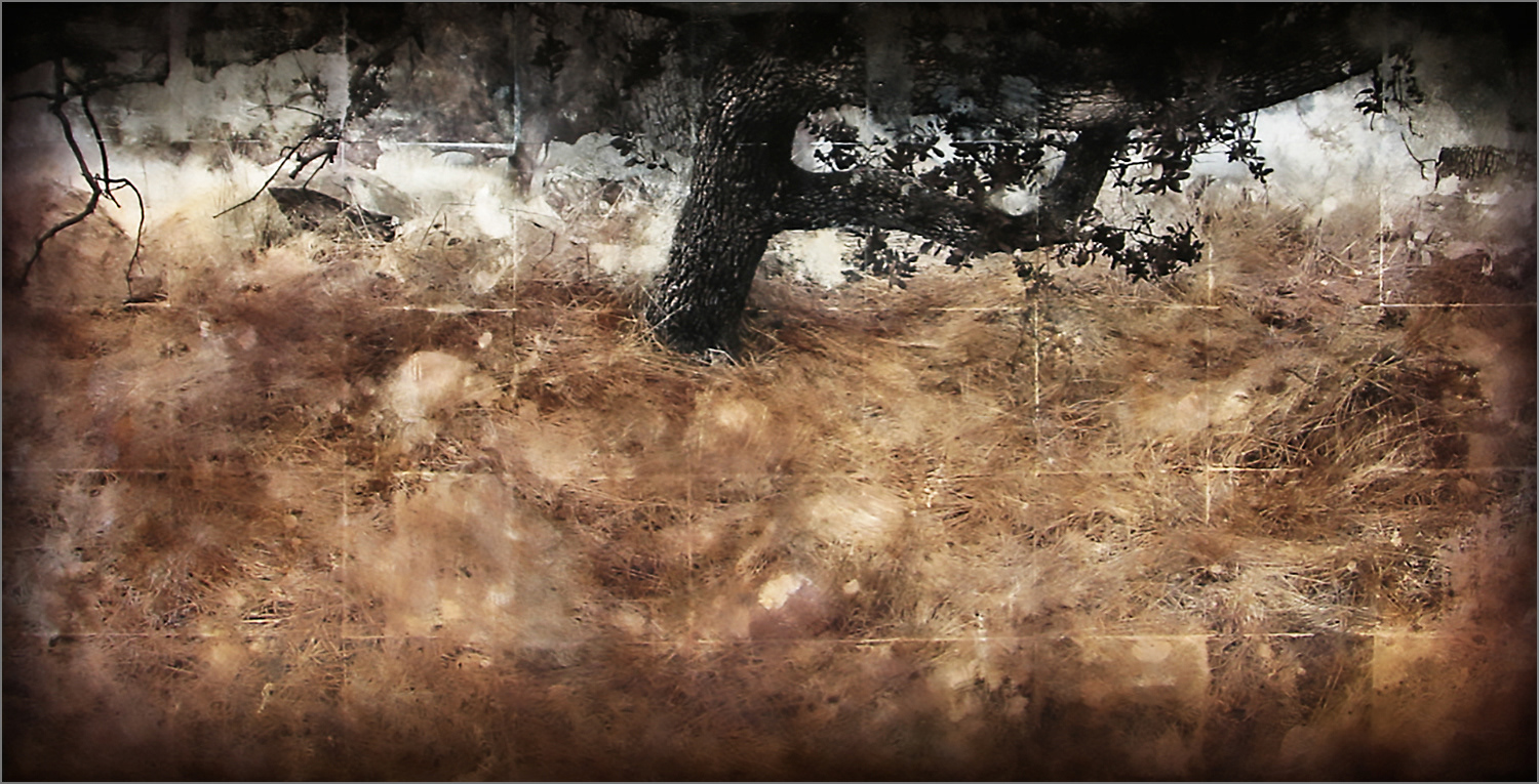 2009 - 01 42" x 63" Inkjet and Acrylic on Panel