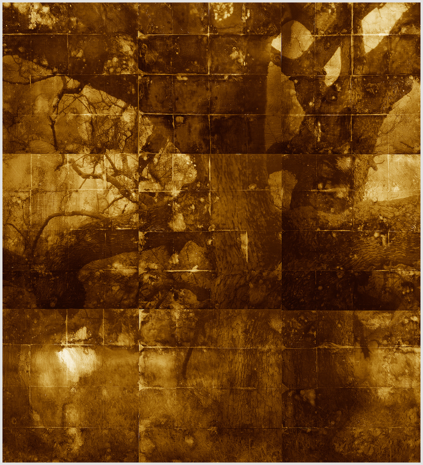 Burning Bush 63" x 6911 (Center Nine of Thirty-Six Panels) Acrylic and Pigment Ink on Panel