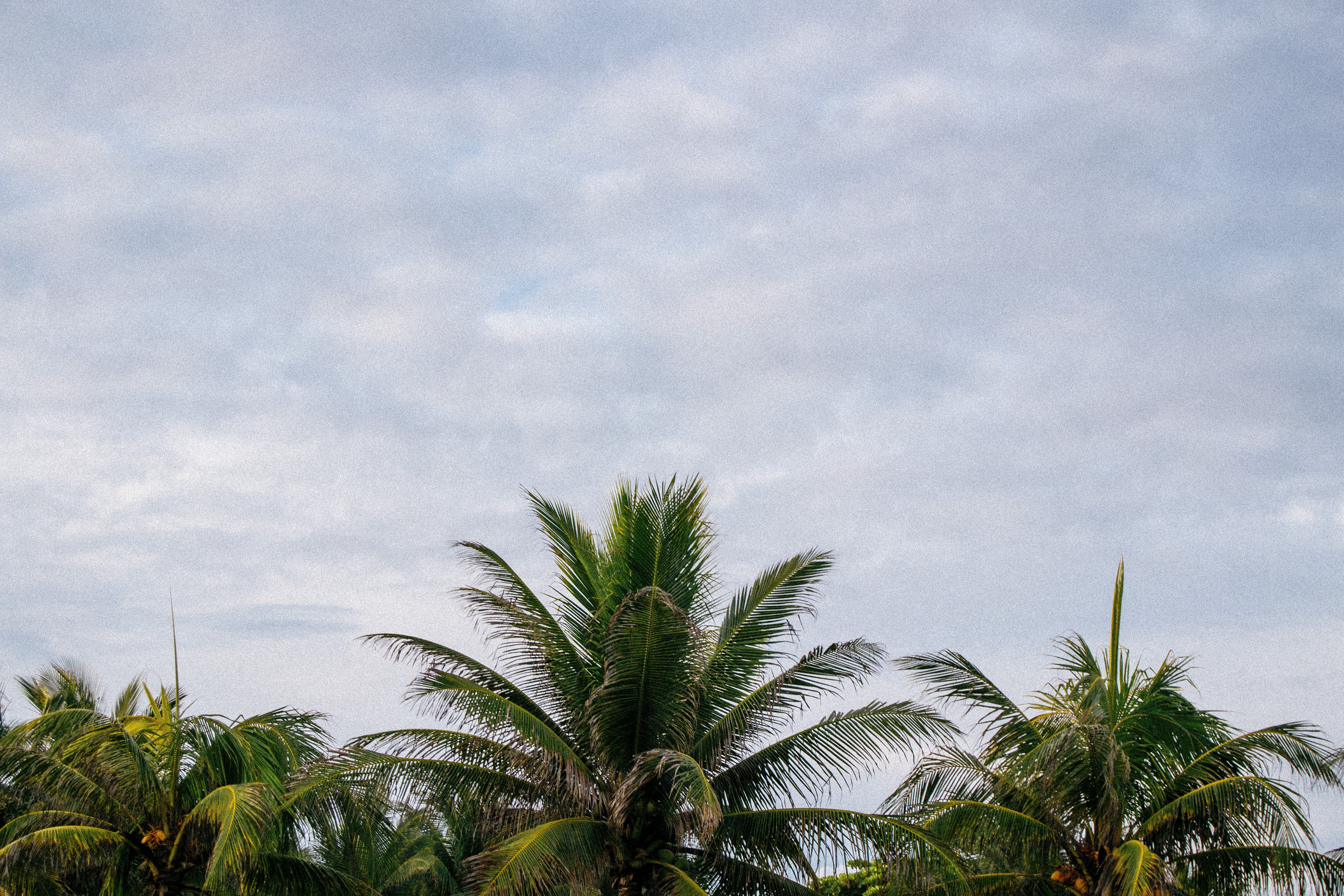 Monterrico, Guatemala