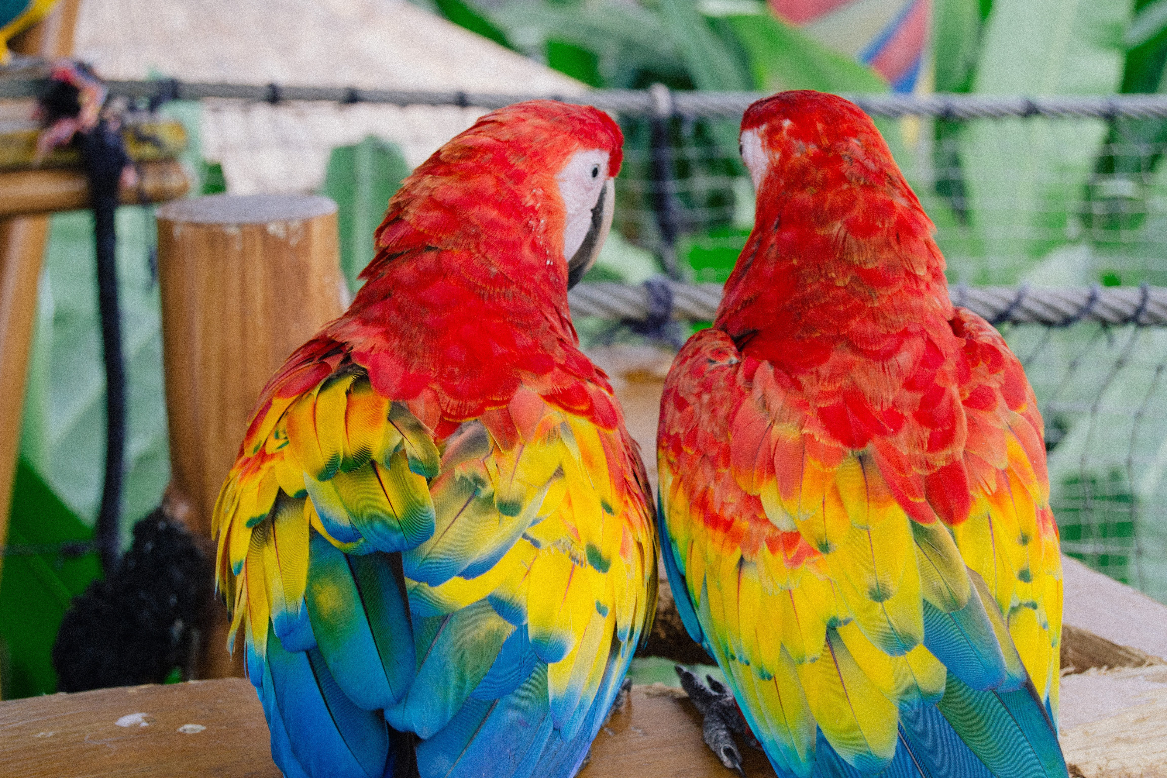 IRTRA Park, Guatemala