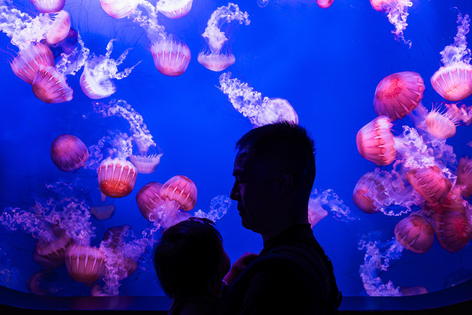 Valencia, Spain 2024