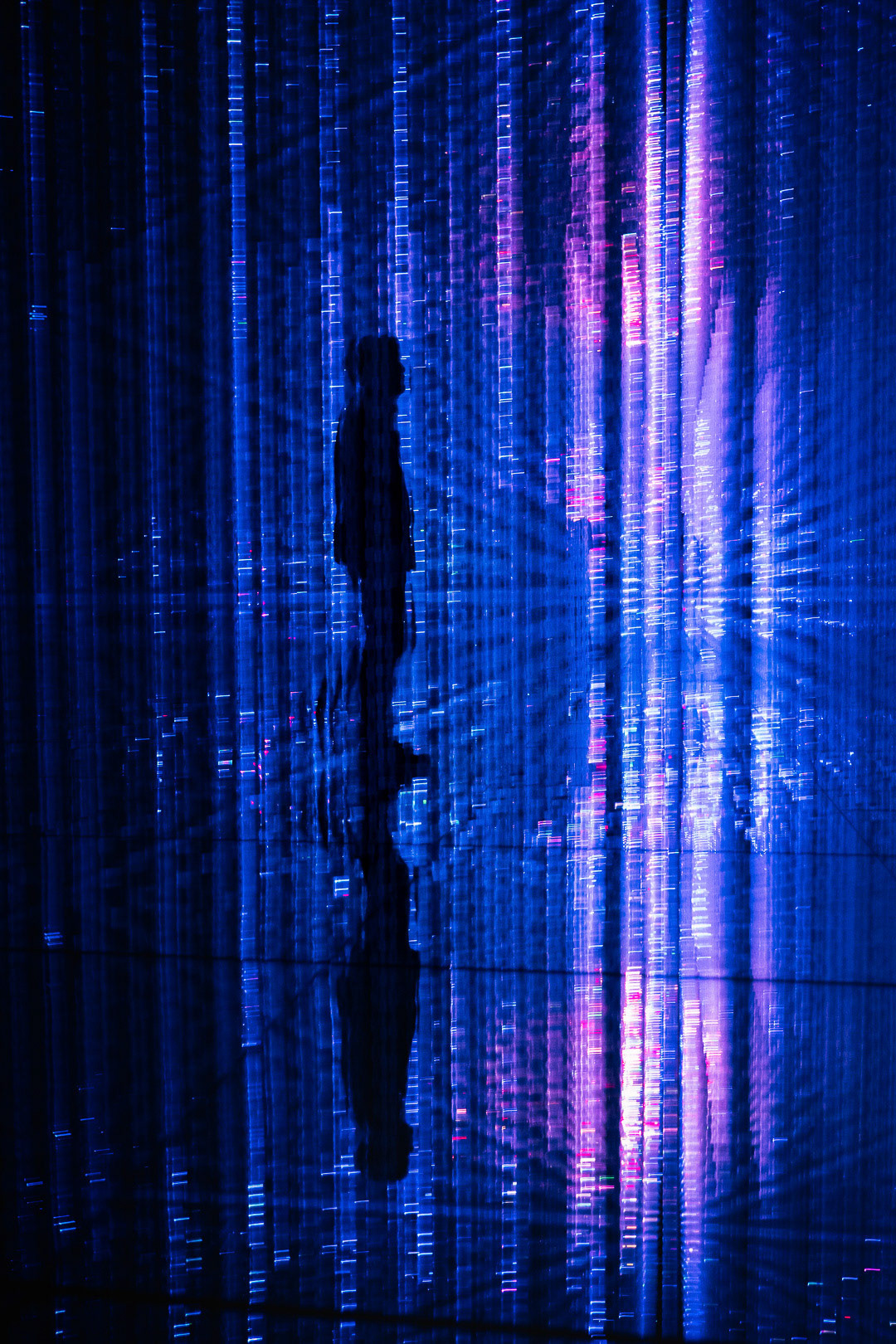 Tokyo, Japan 2019
