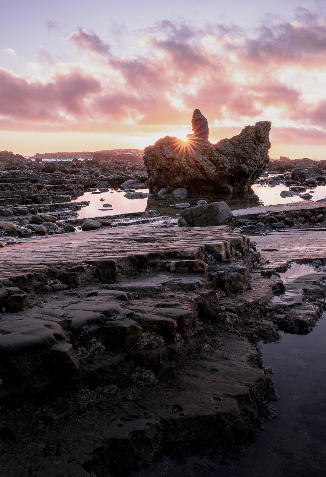 Abalone Cove, California 2020