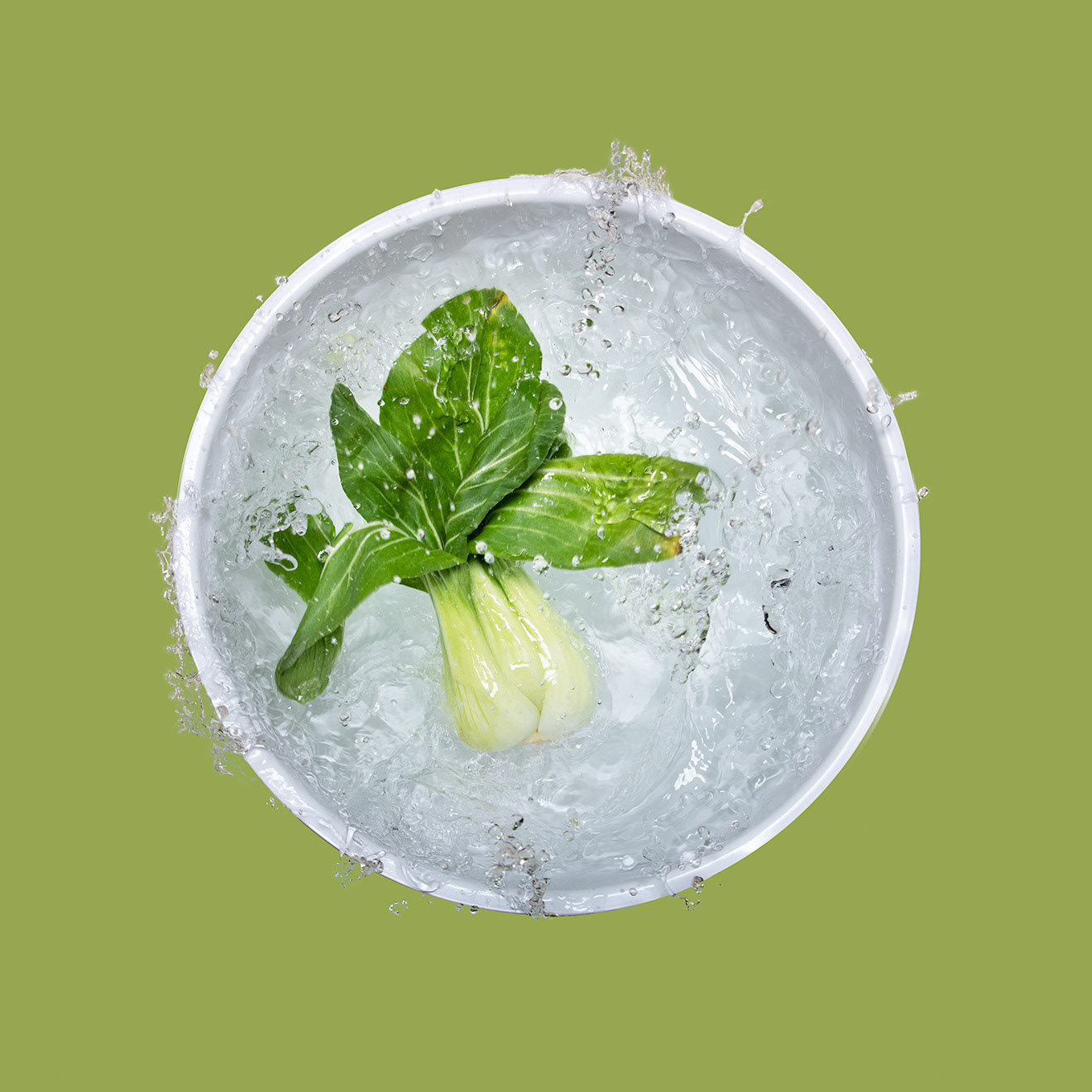 Food Photography