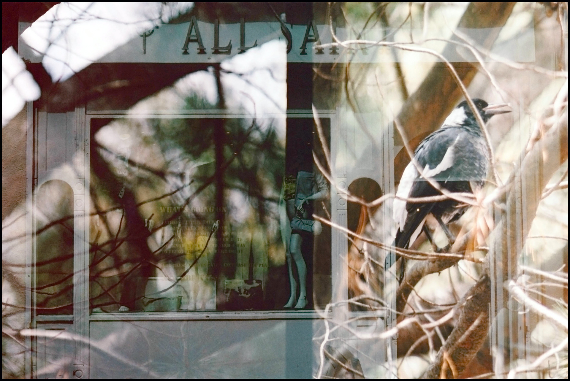 35mm film double exposure I Brighton UK/ACT Australia.