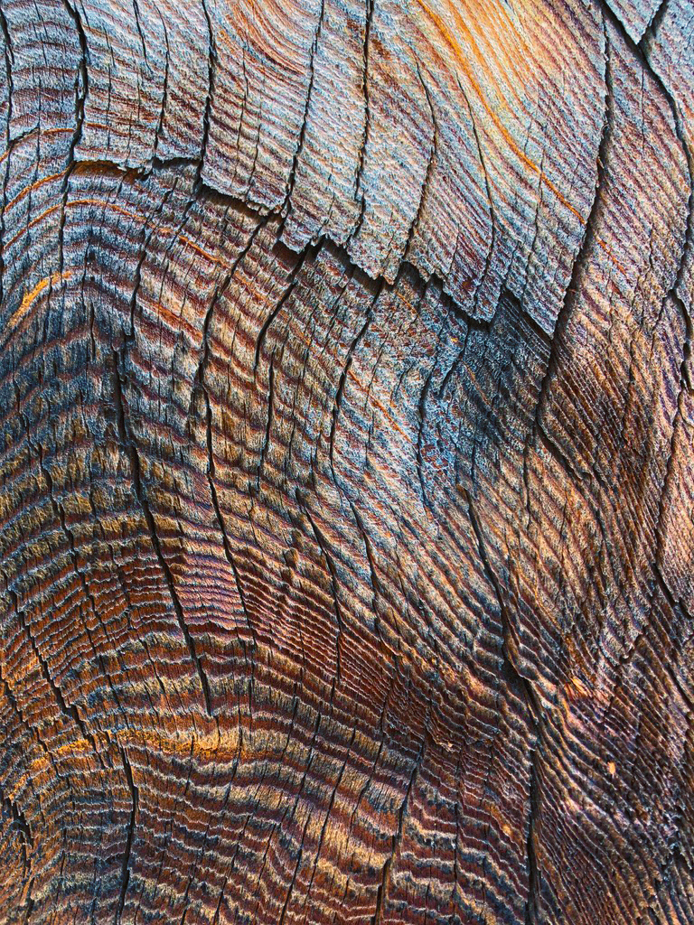 Wood Skin