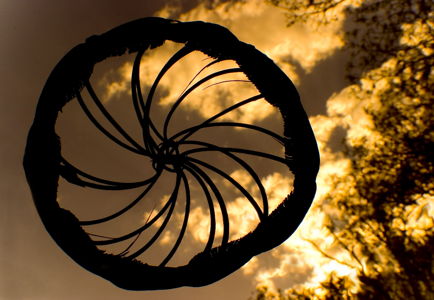 medicine wheel