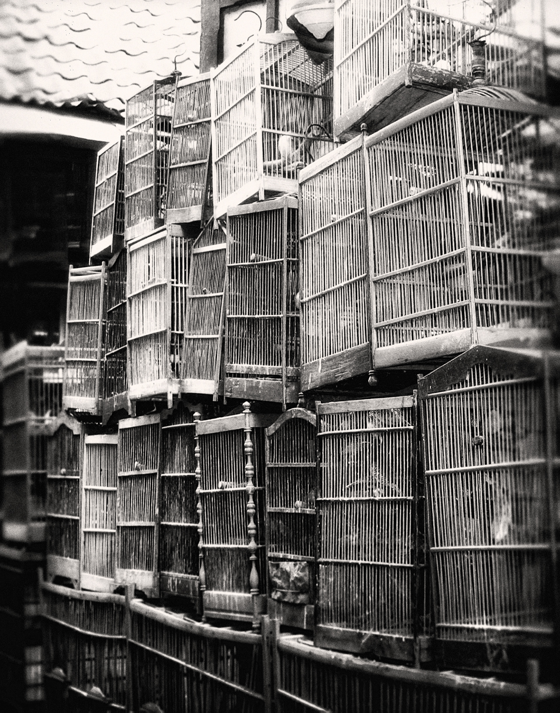 to many cages