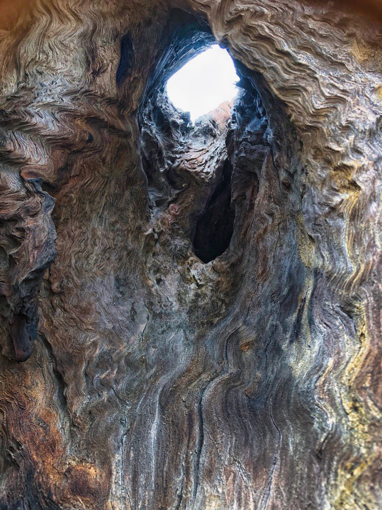 Not a Black Hole