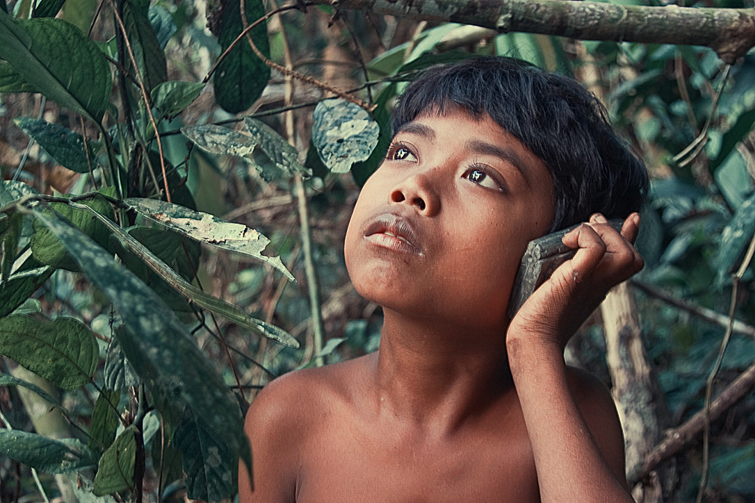 Indigenous Voice