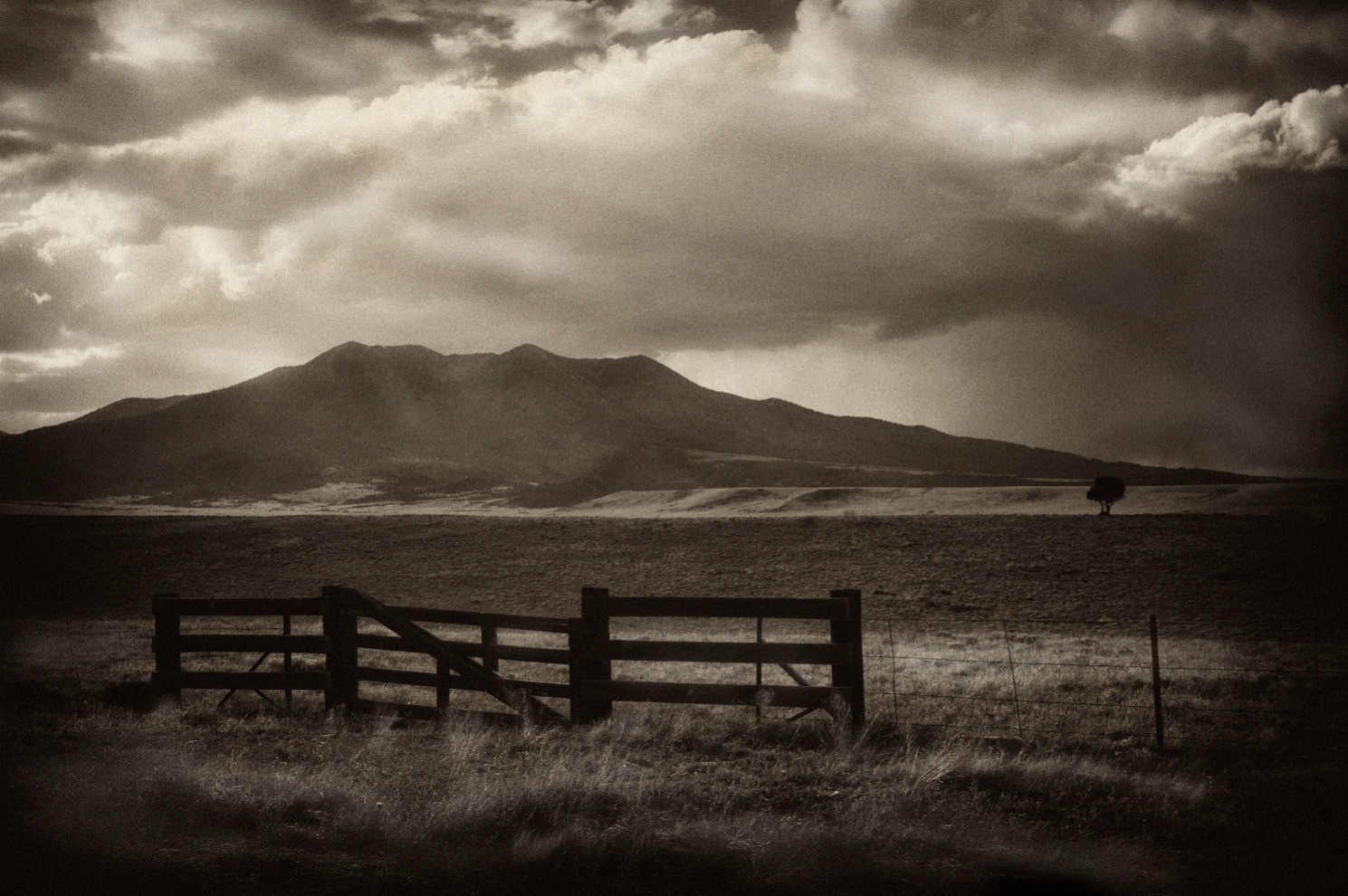 Cowboy Dreams