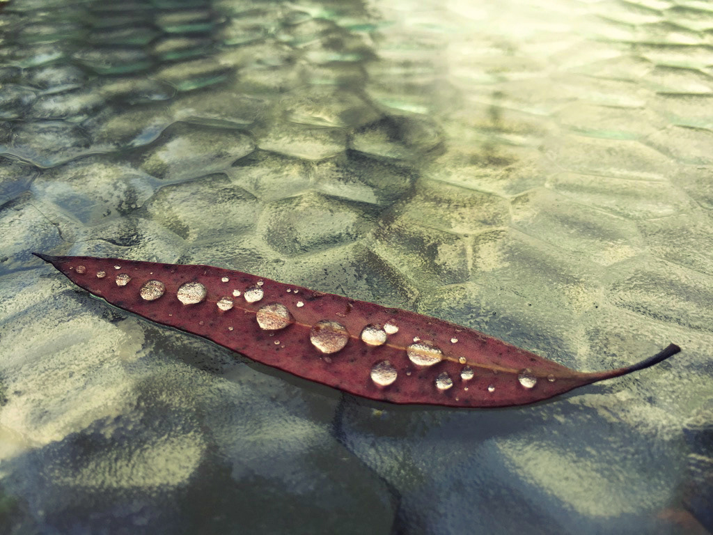 Raindrop Canoe