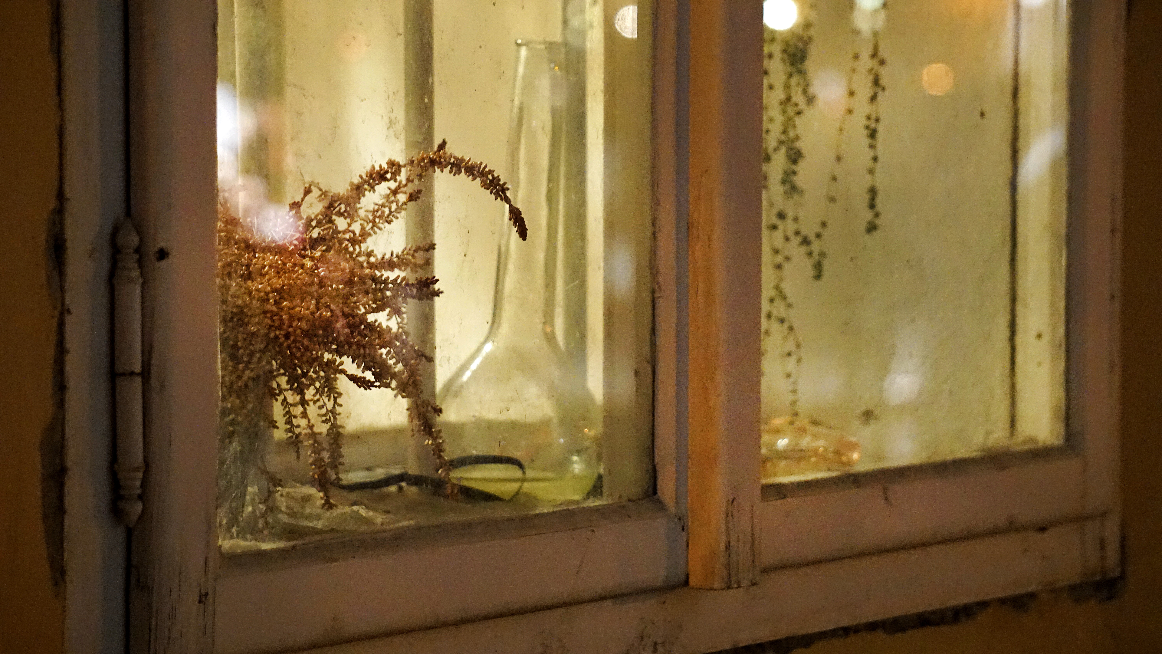 Window Dressing