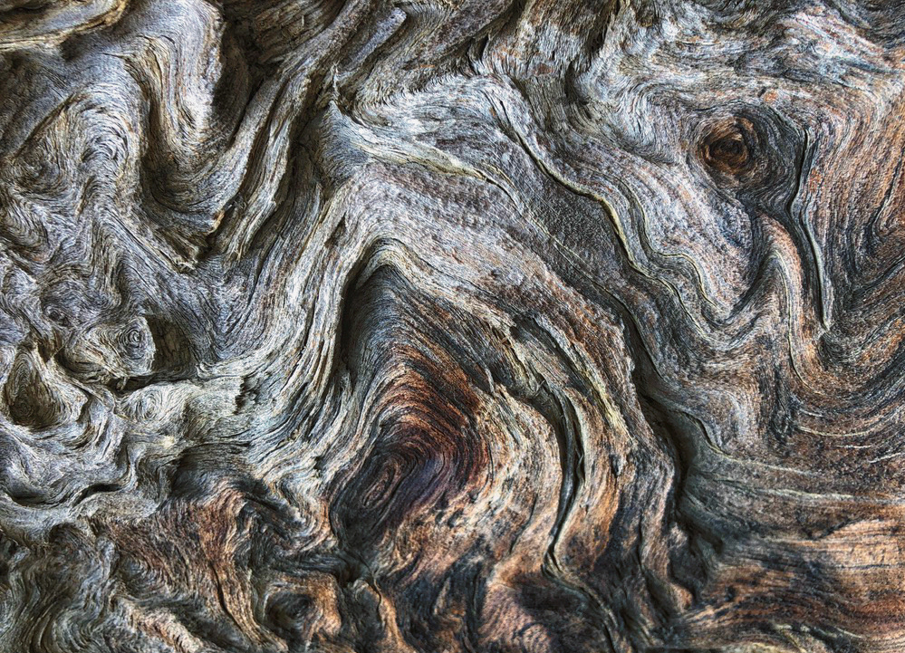 elephant wood