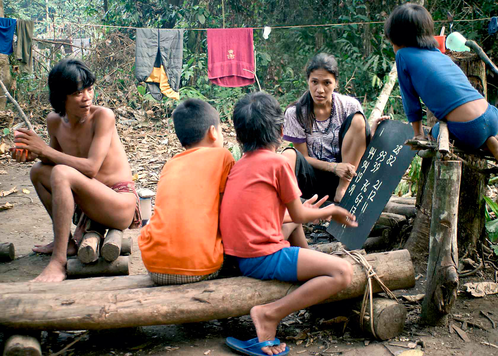 Jungle School