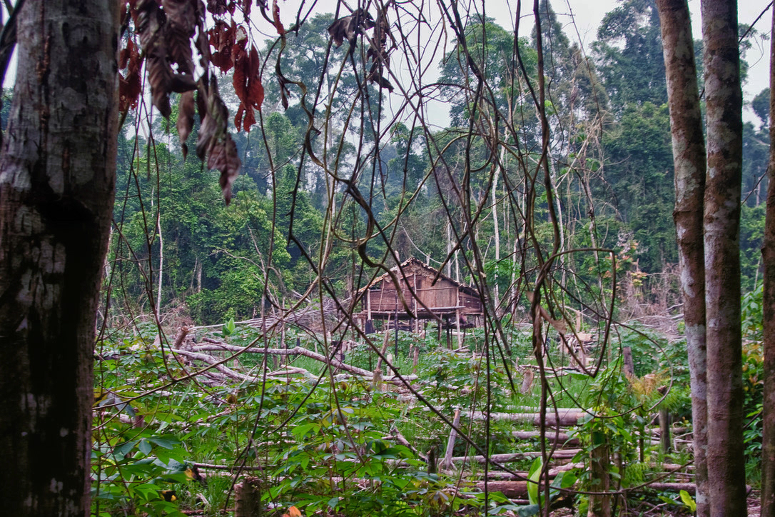 Struggling Sumatra